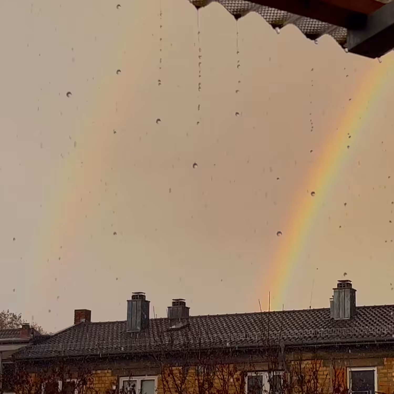 🌈 ^2 glitch by nature