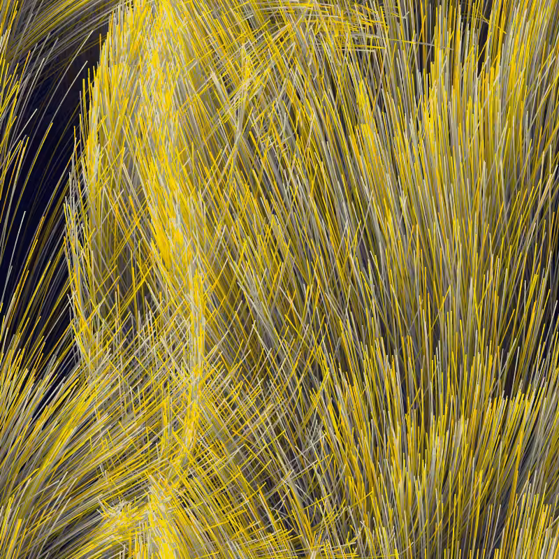Strange Attractor Swarm #22