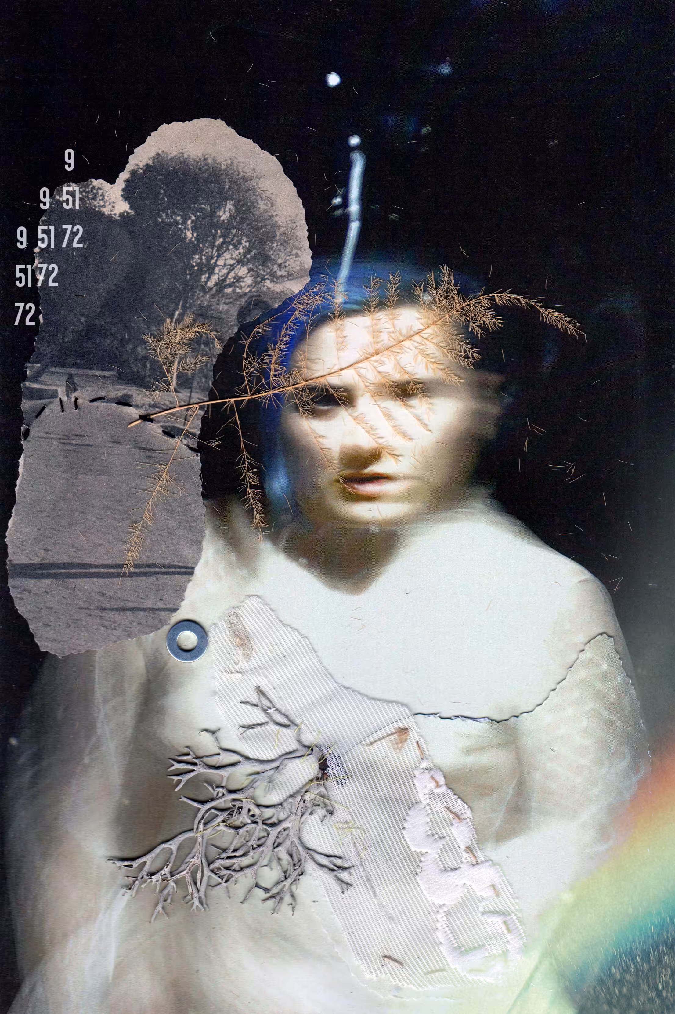 The Children of the Wonder Garden of the Identical Birth