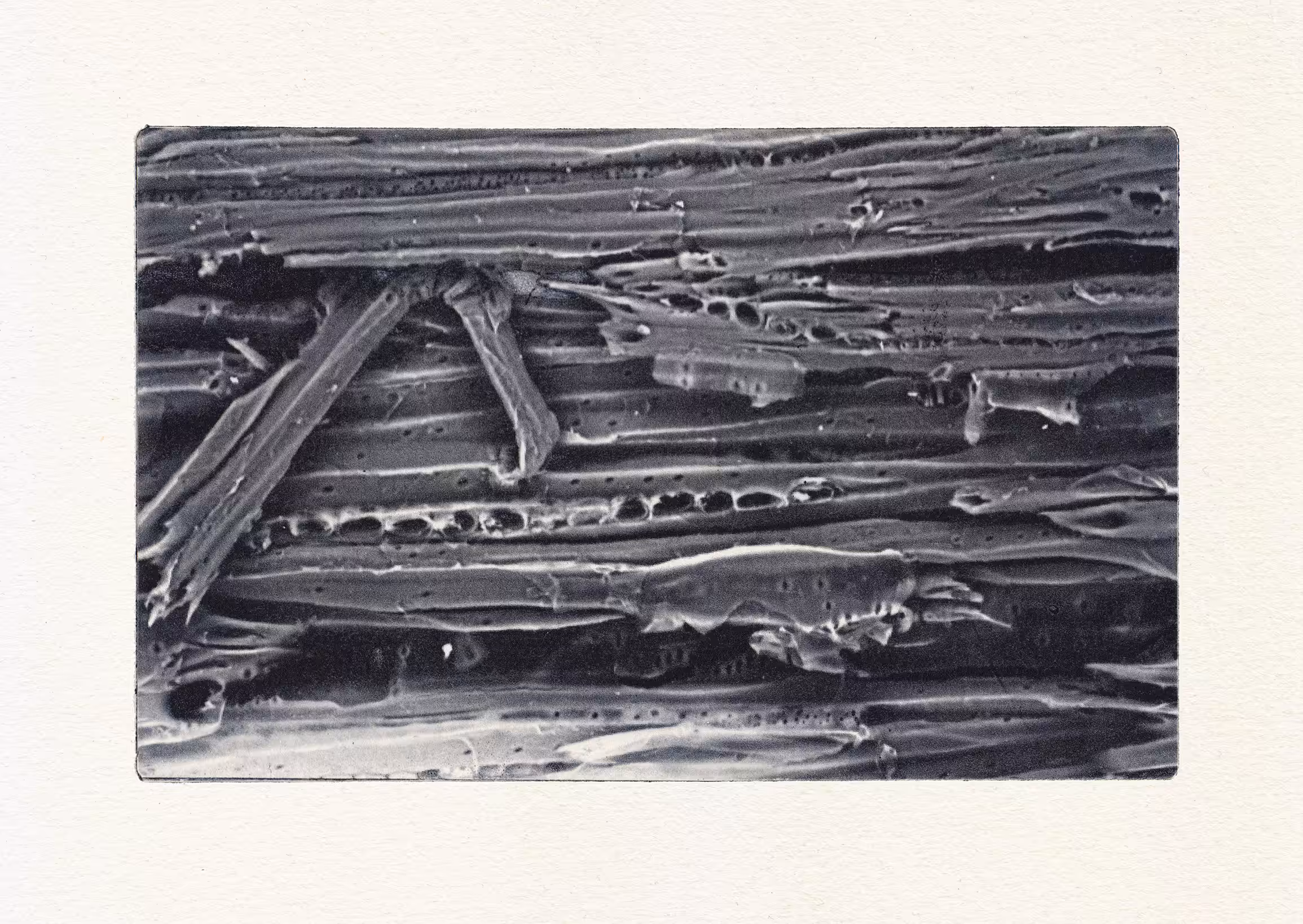 E-Scale : forgotten fragment