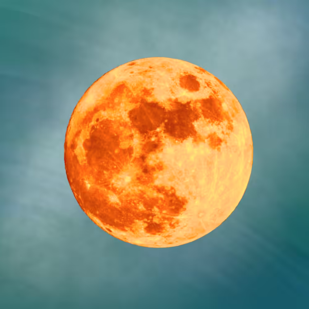-<Beta Moons>- #20