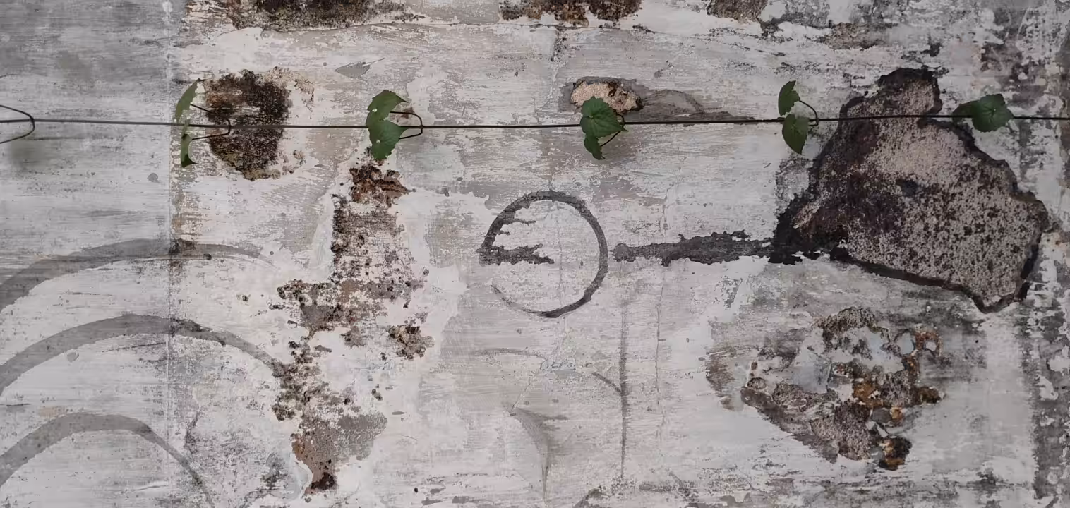Futile Attempts and Failures of Circling