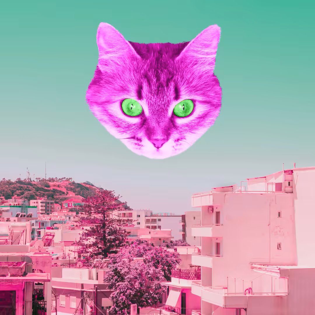 Laser Cat