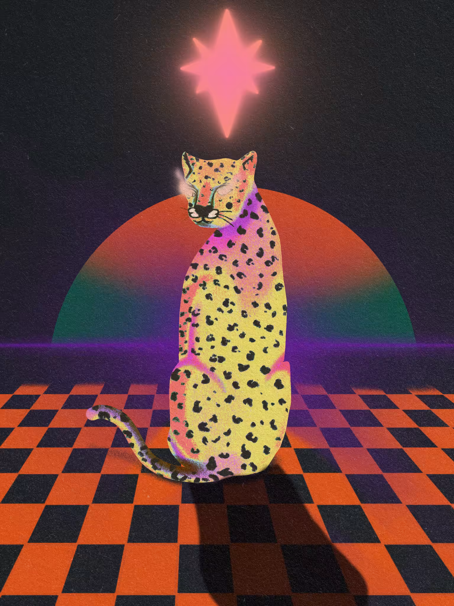 Magical Cat II