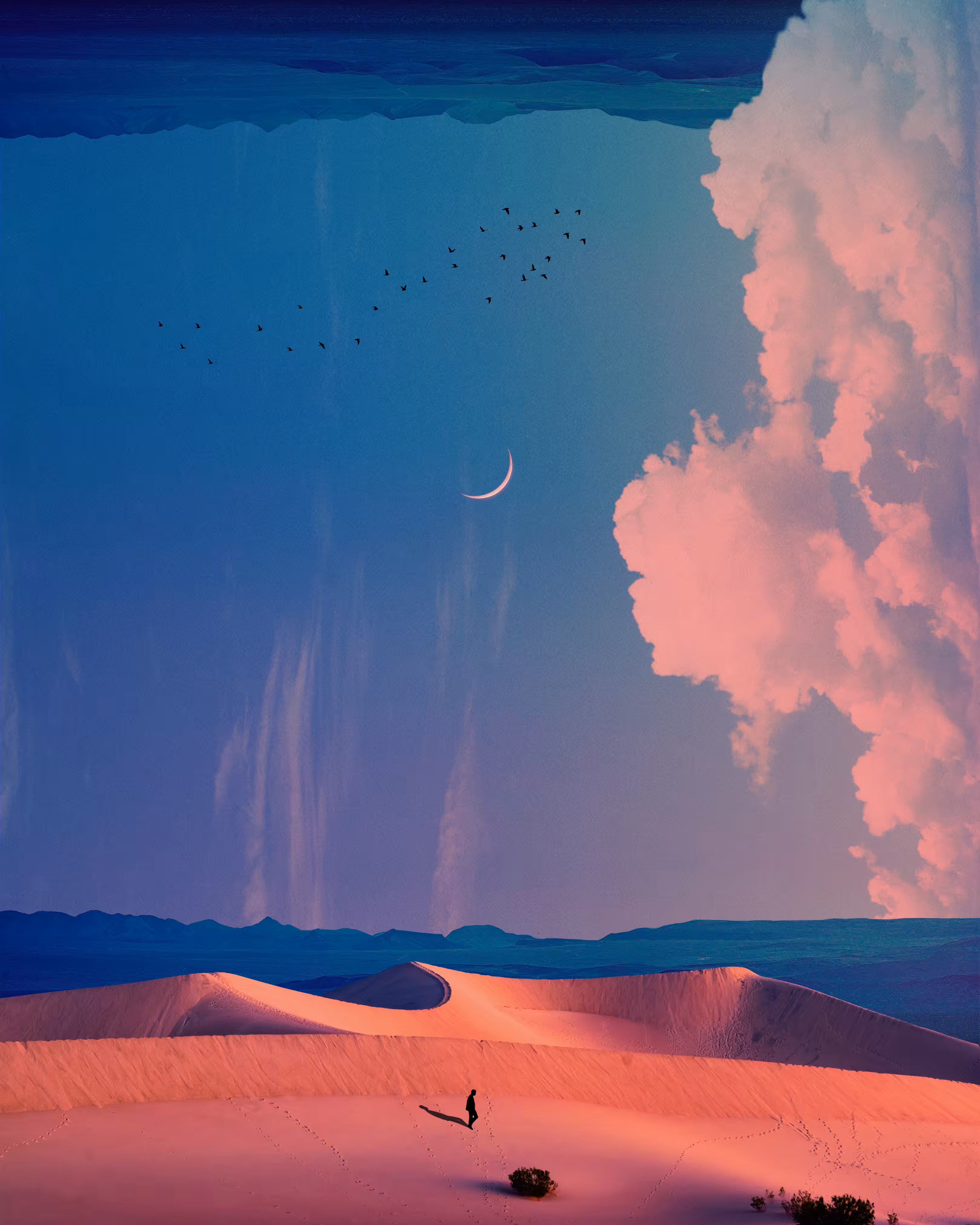 Promised Lands