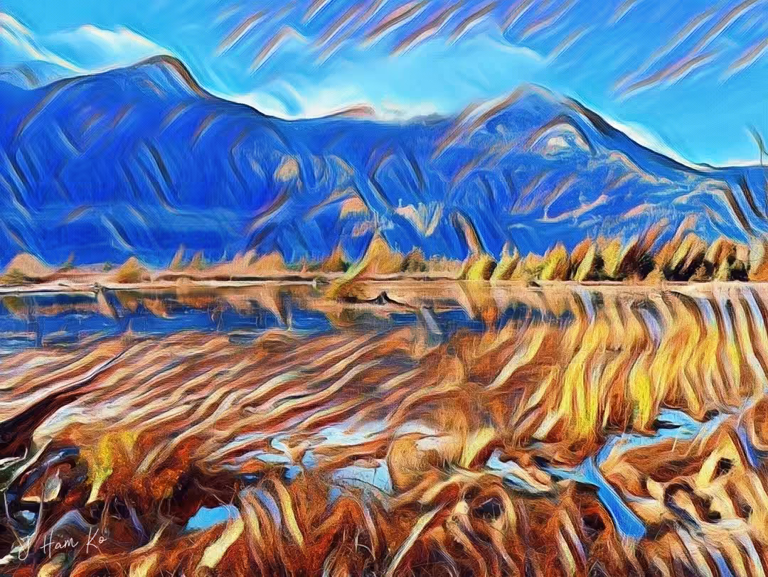 Winter Marsh