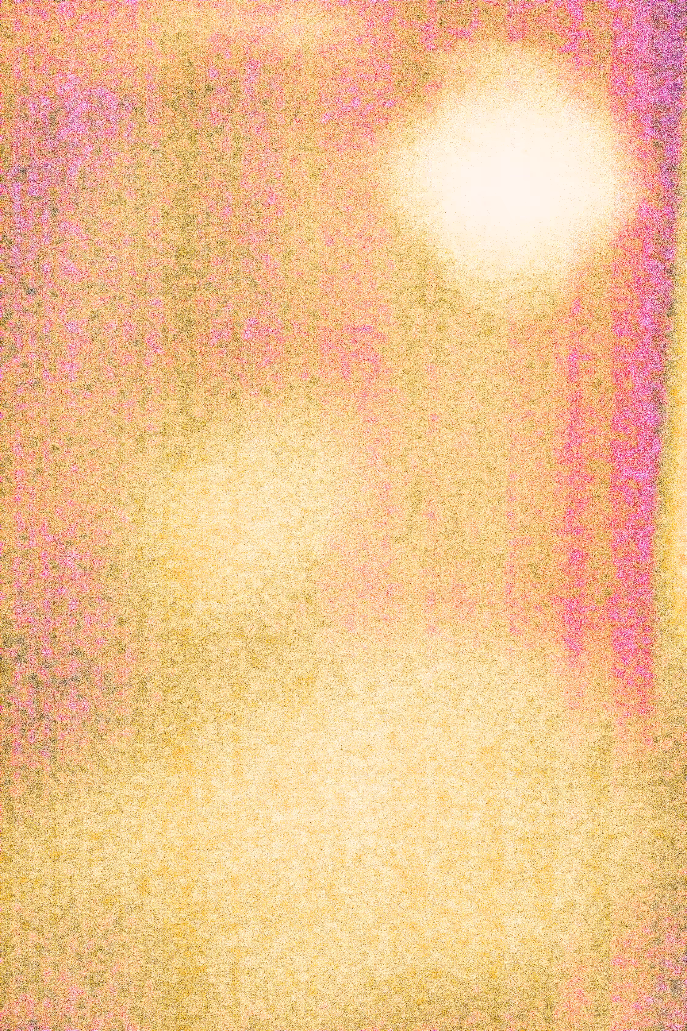 SALT 12