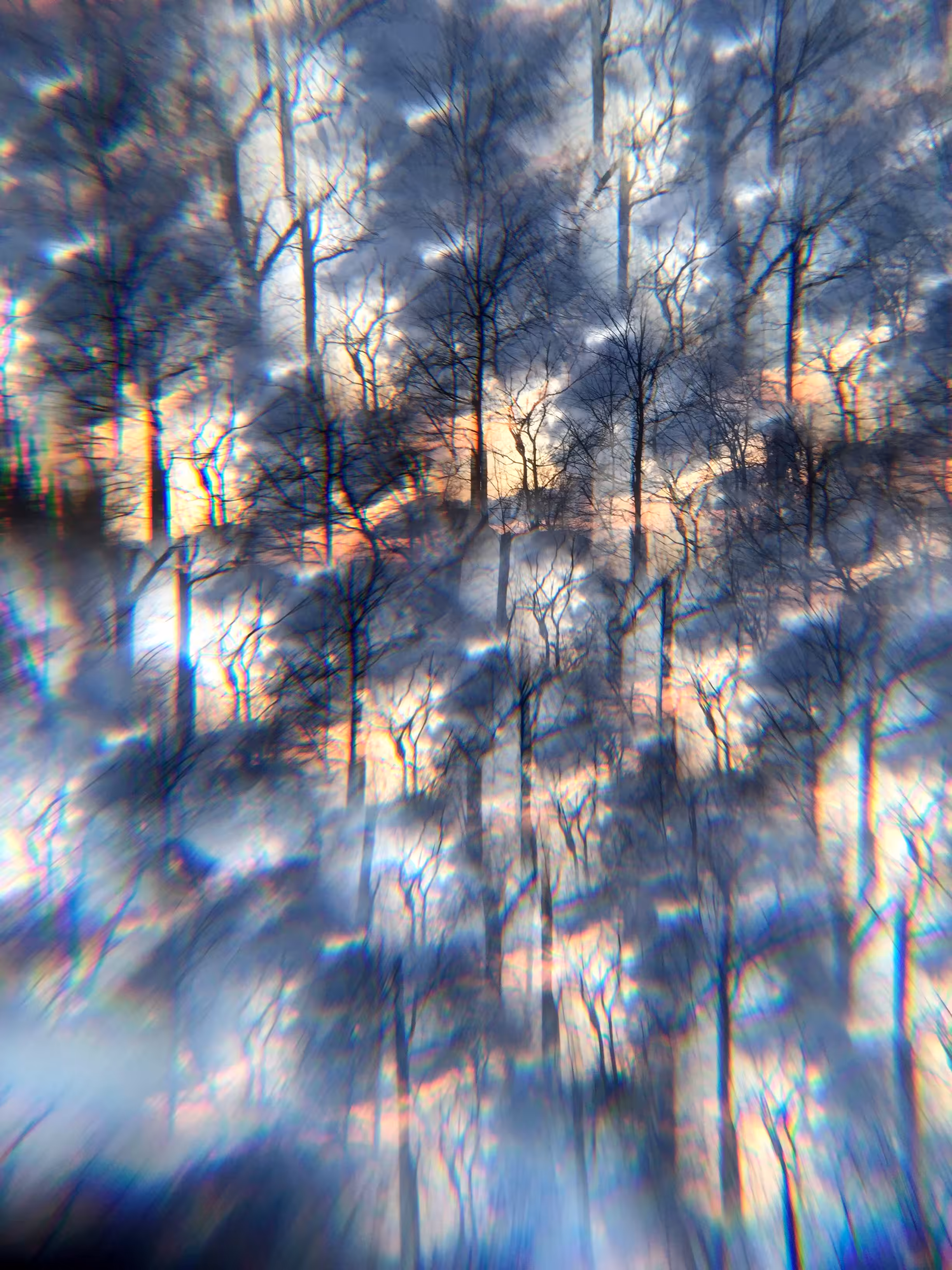 Prism Pics