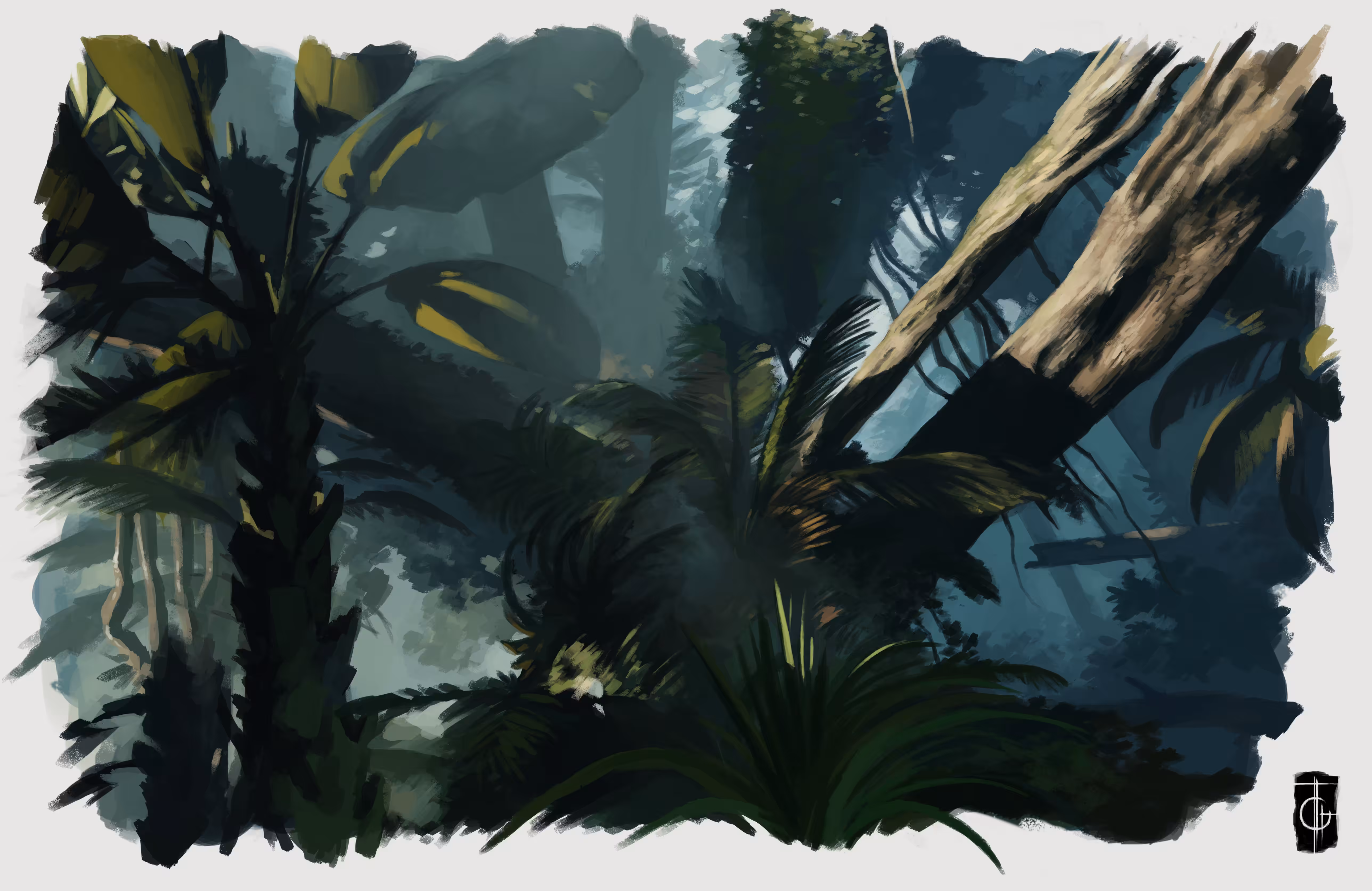 Jungle 