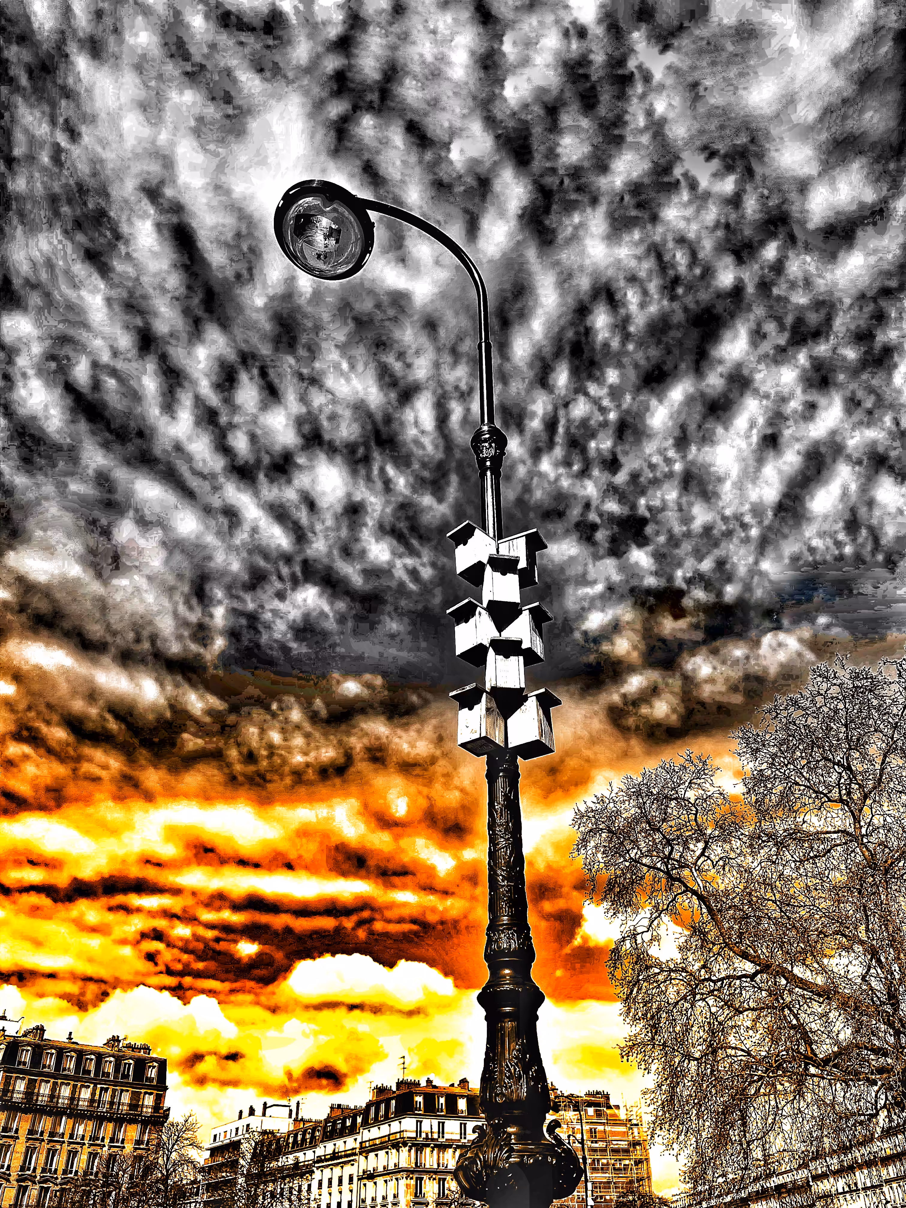 Nests In The City 