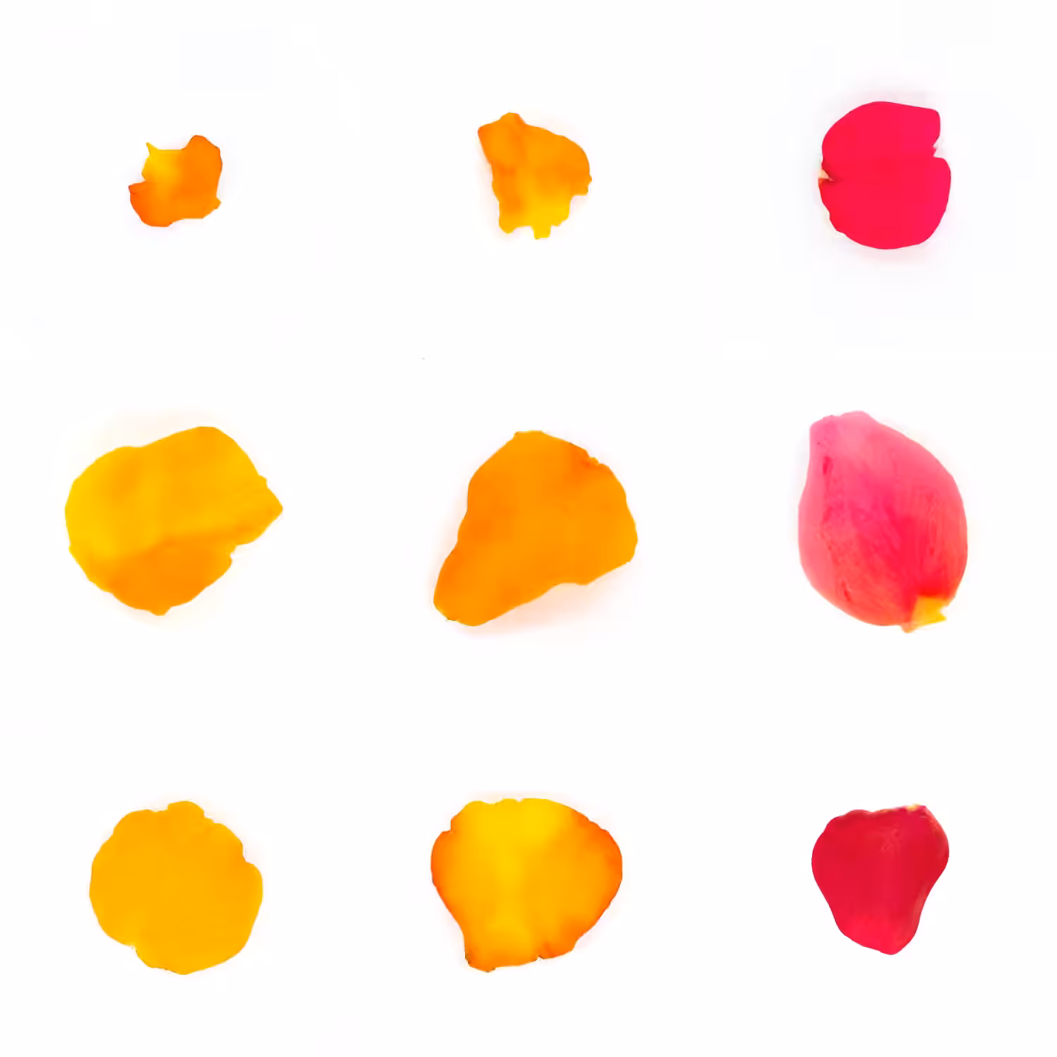 Infinite Petals 3x3#3223
