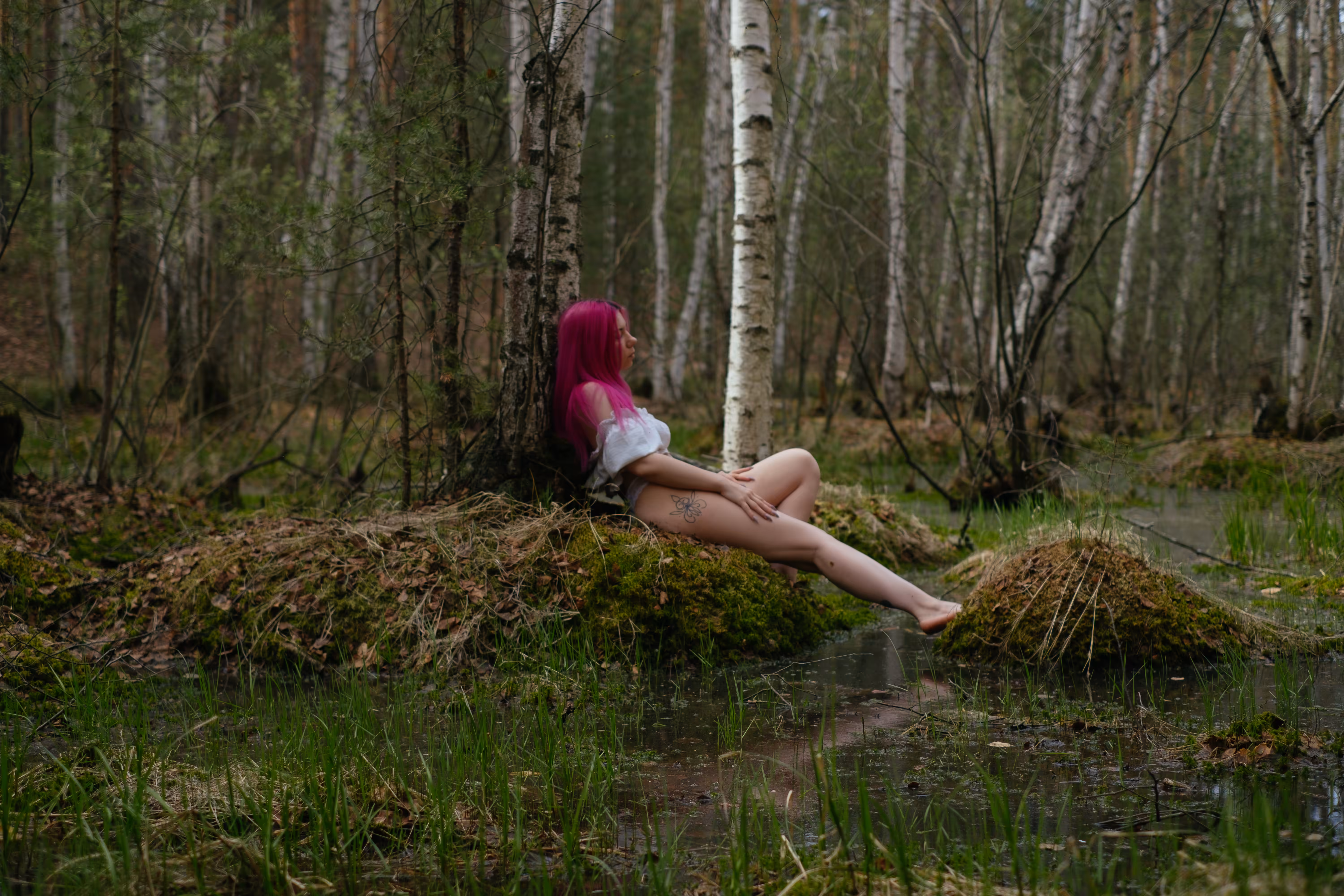 Whispers of the Birches