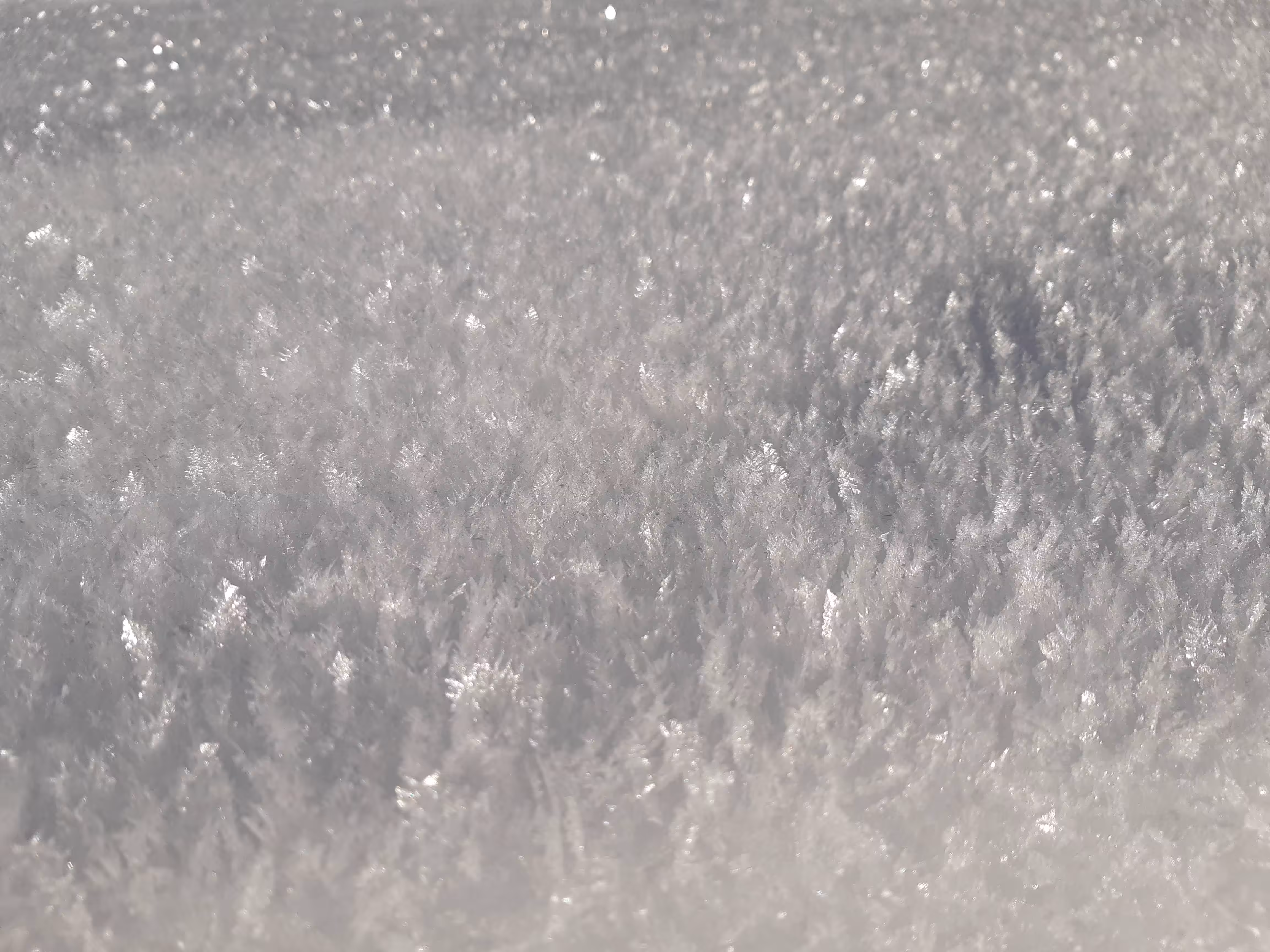 De la Neige en été #4