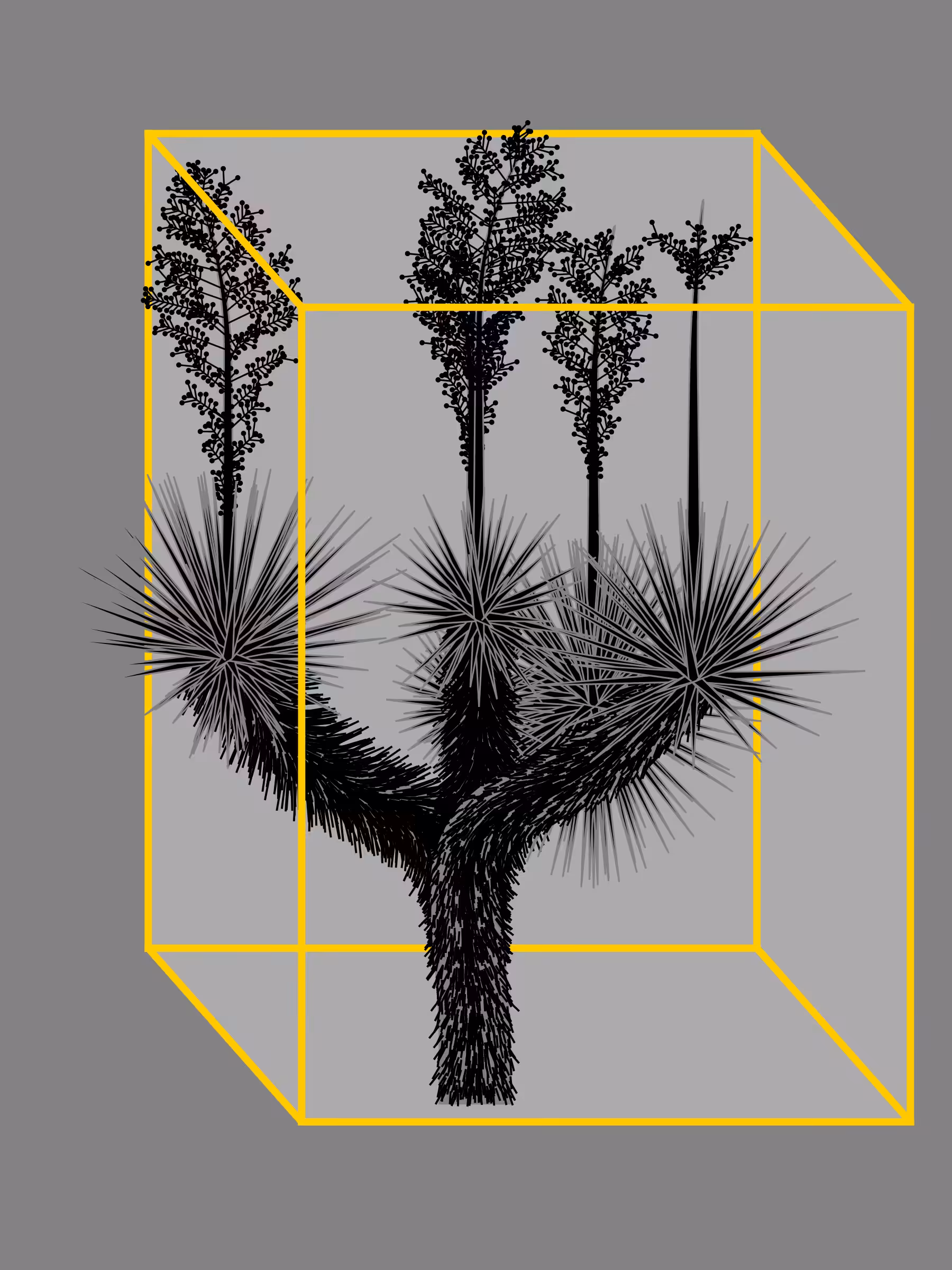 Marfa Yucca #10