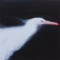 #91