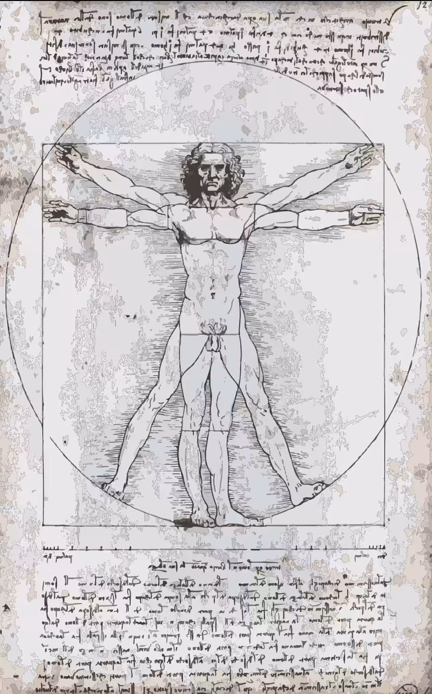 The Vitruvian Man