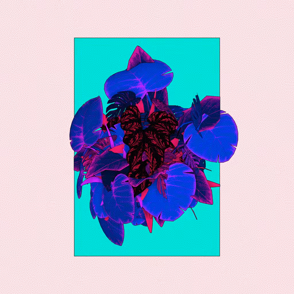 Botany #52