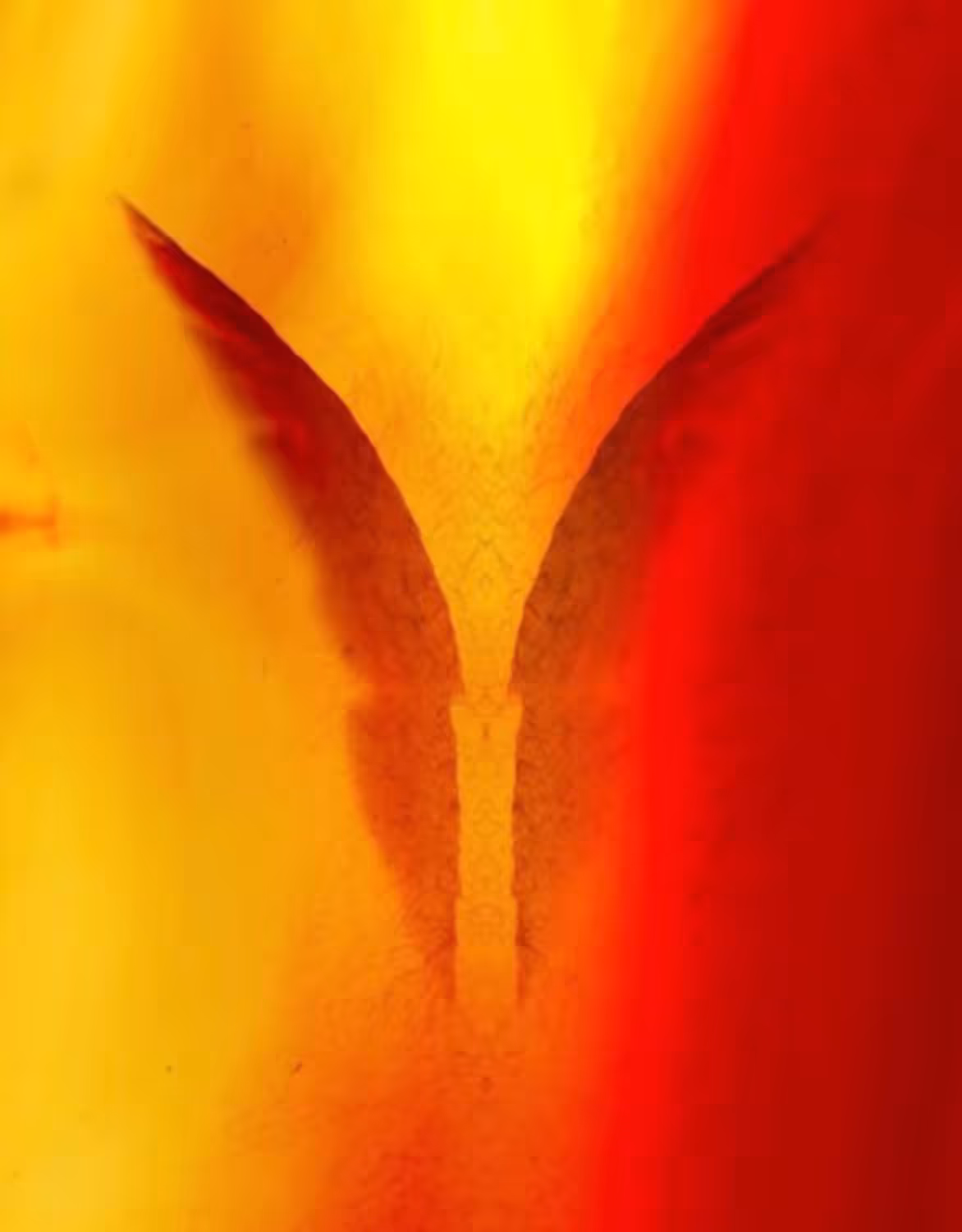 Angel's Touch 1