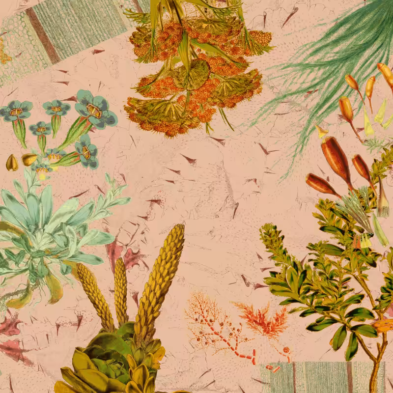 future flora from Antarctica's past #23