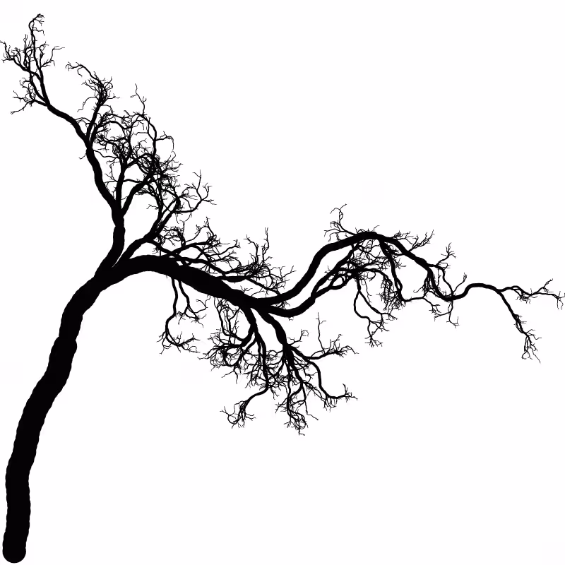 Tree 01 #75