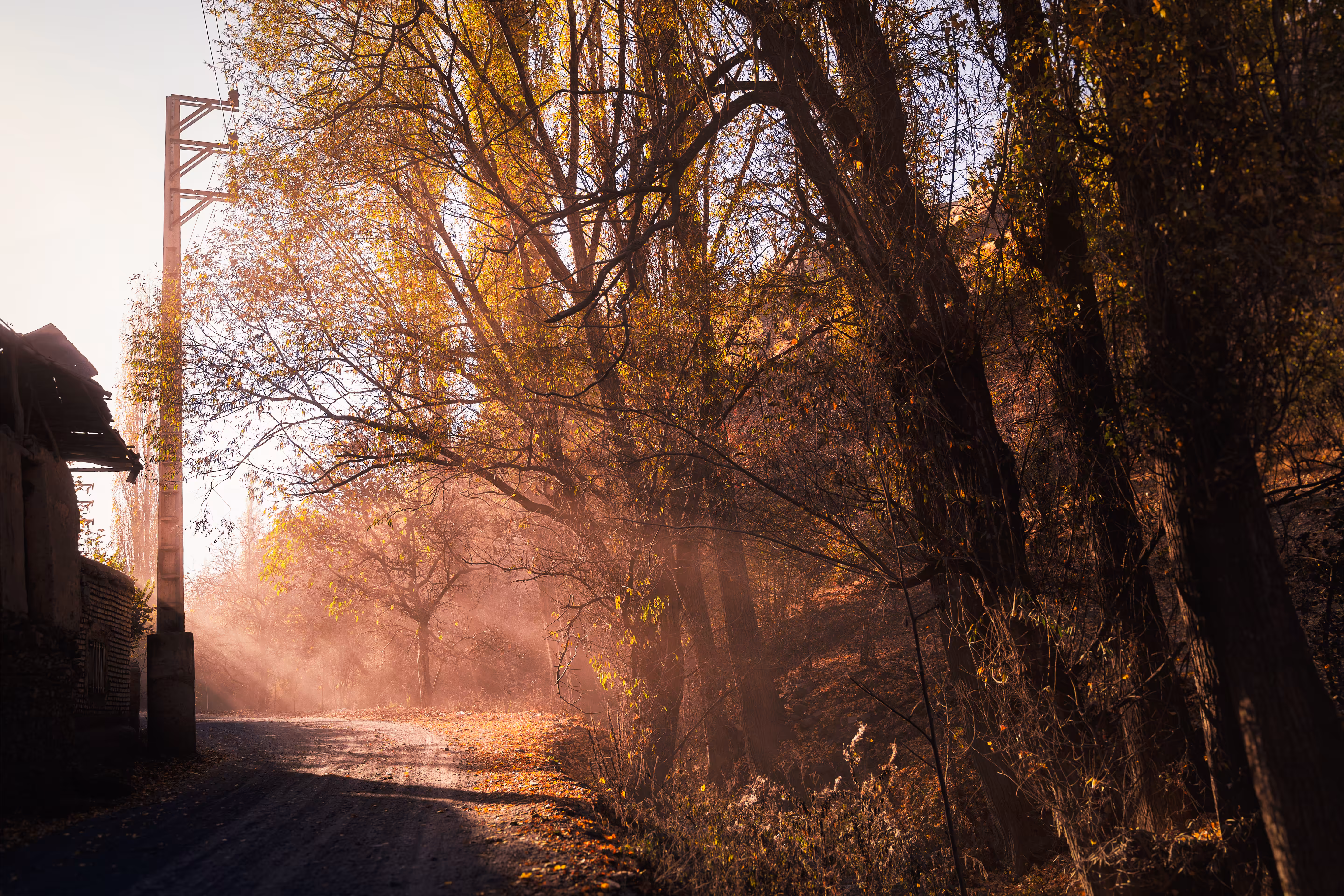The way home