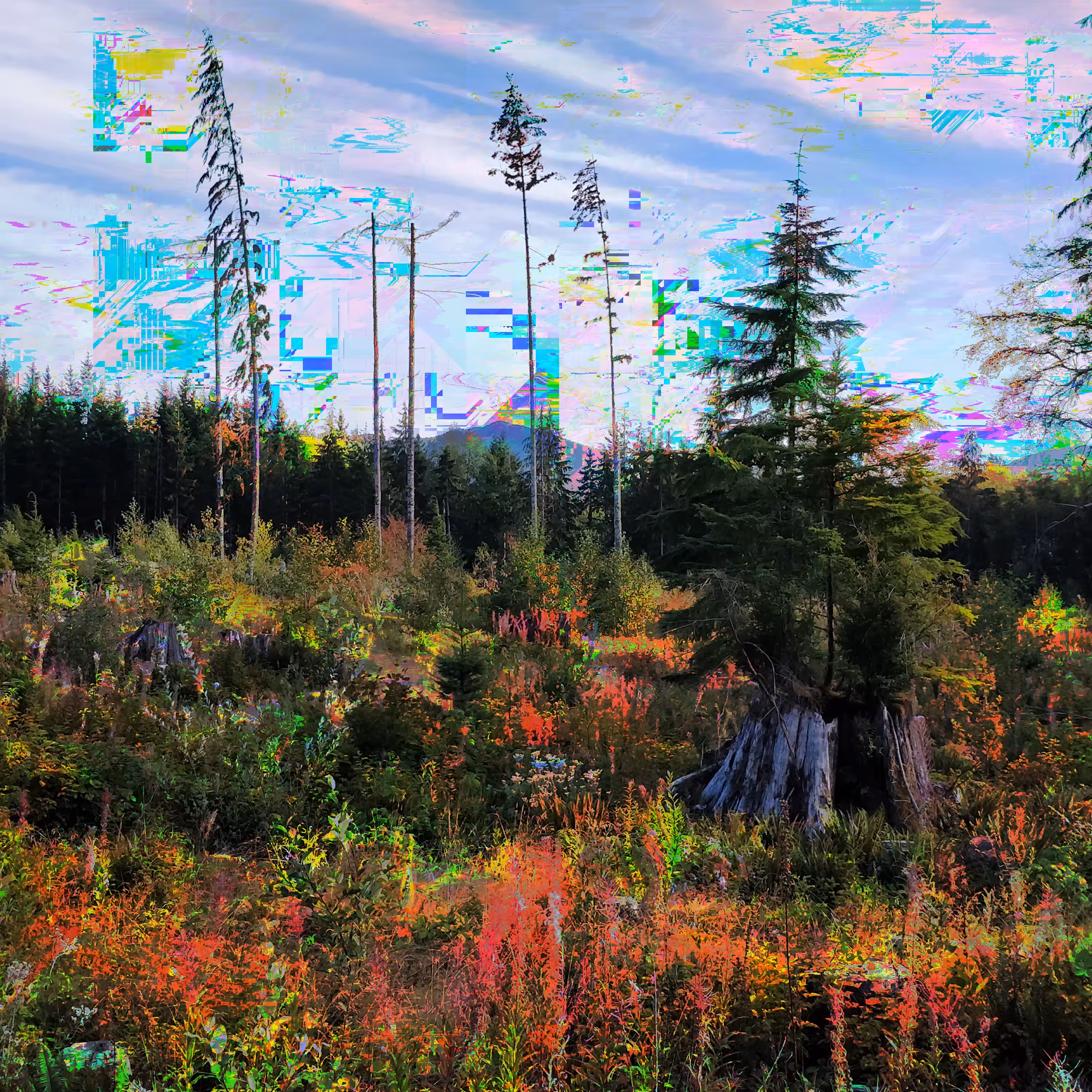 hidden prospects