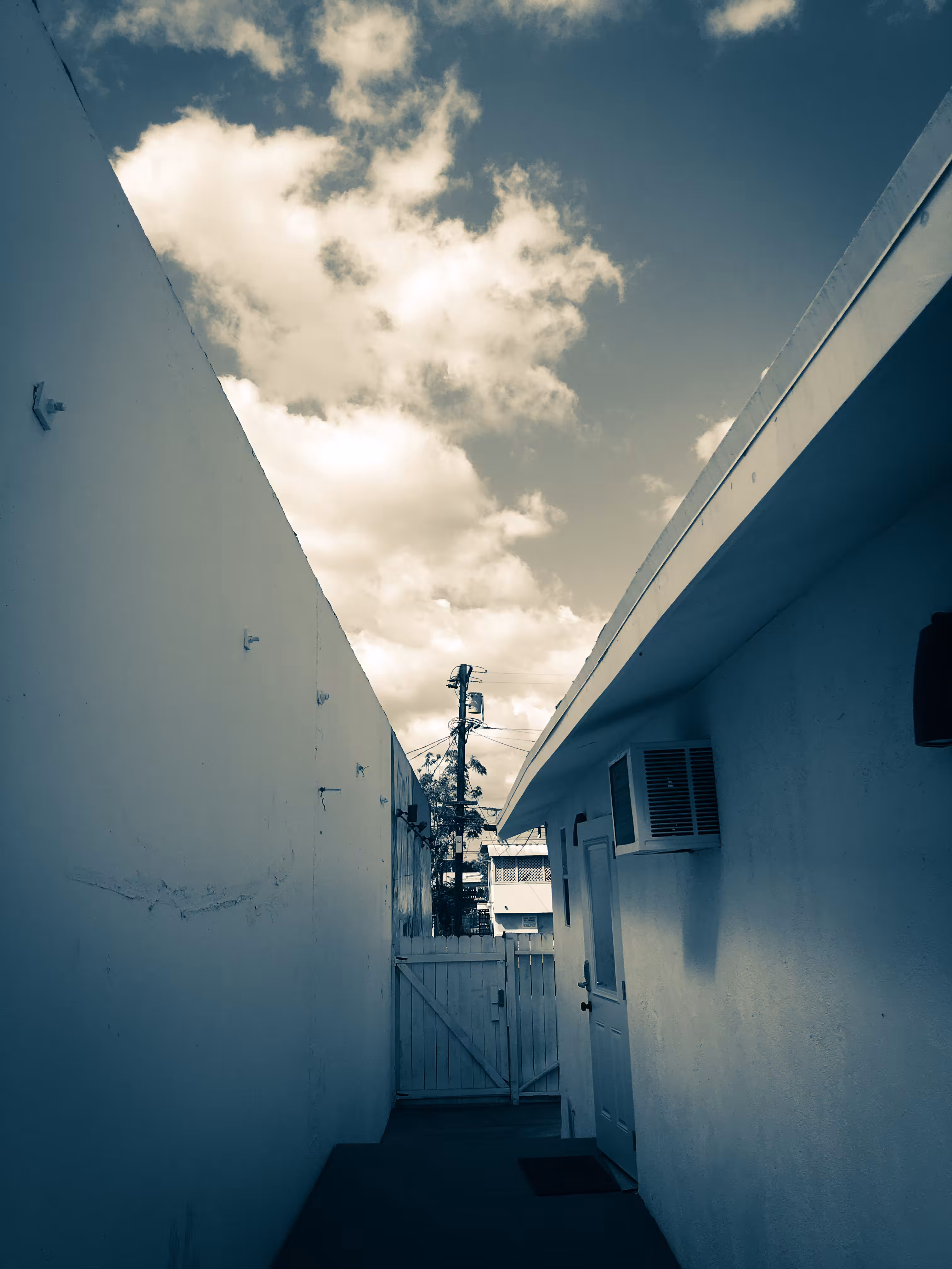 LA.