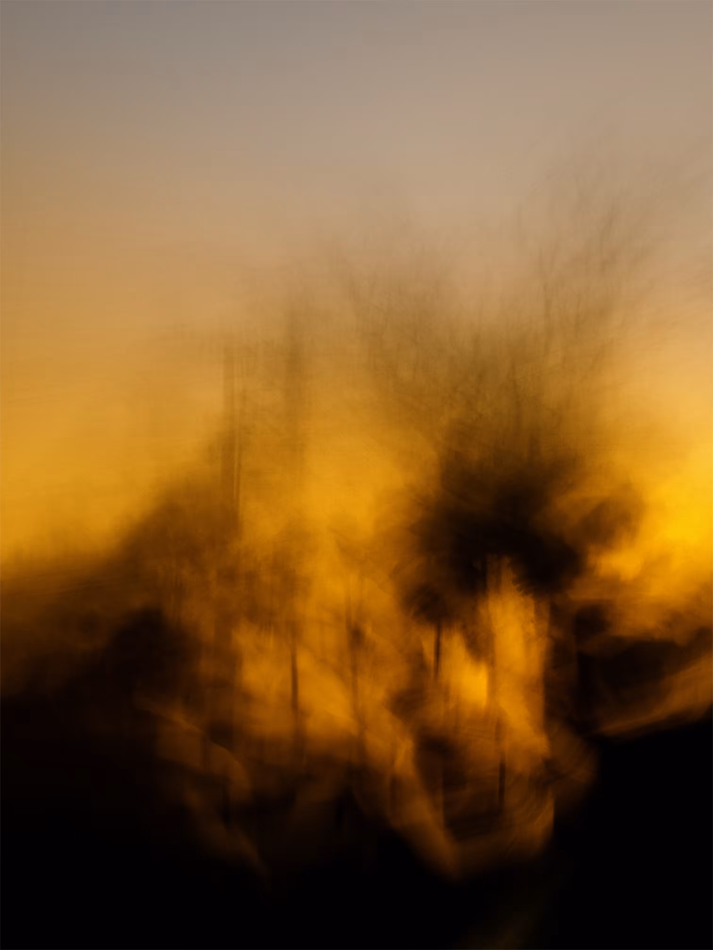 Morning Fog