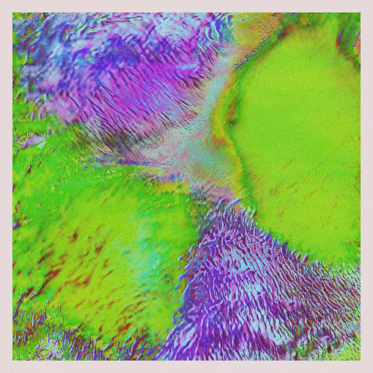 orGANics #39