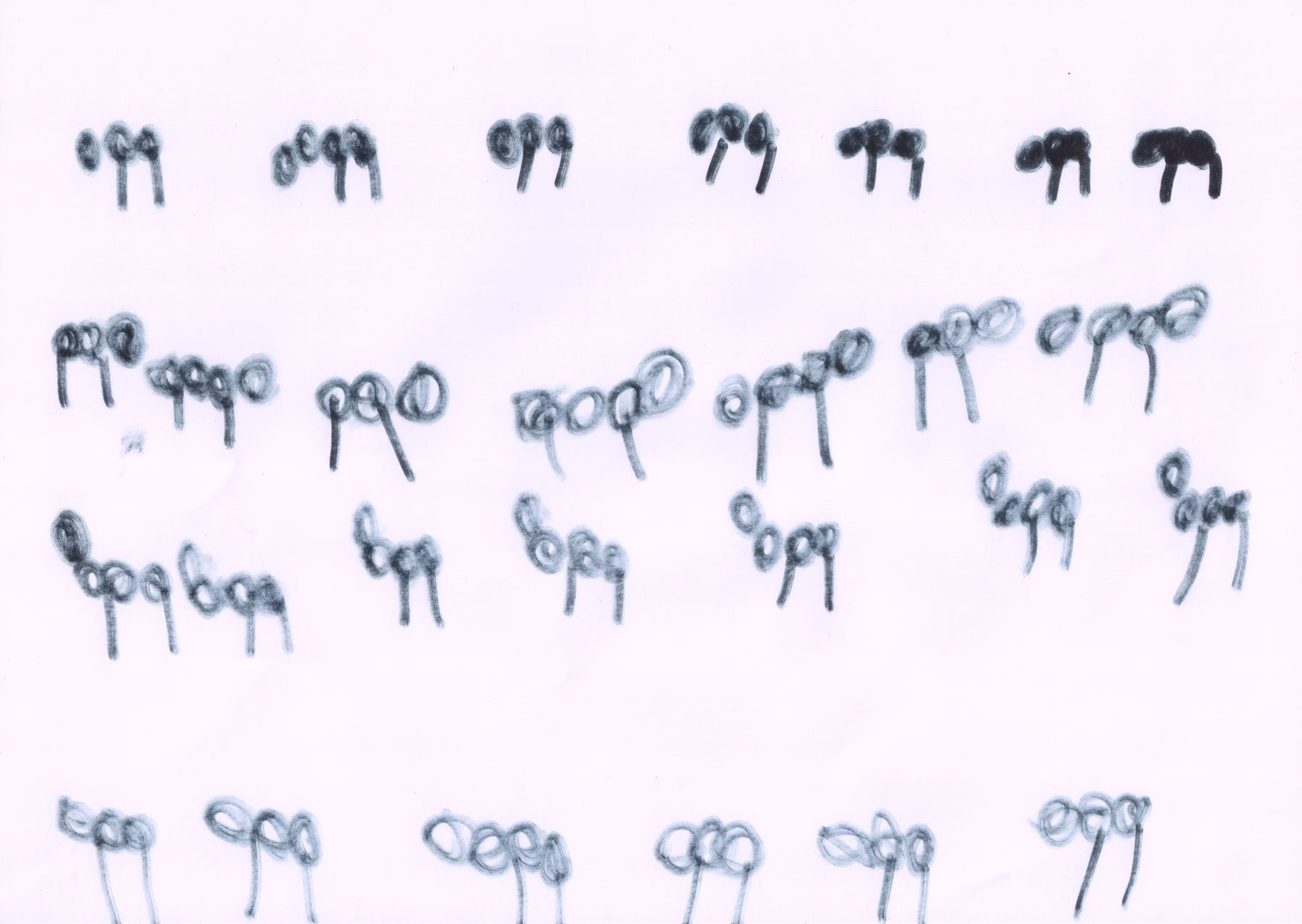 Formiche (ants)