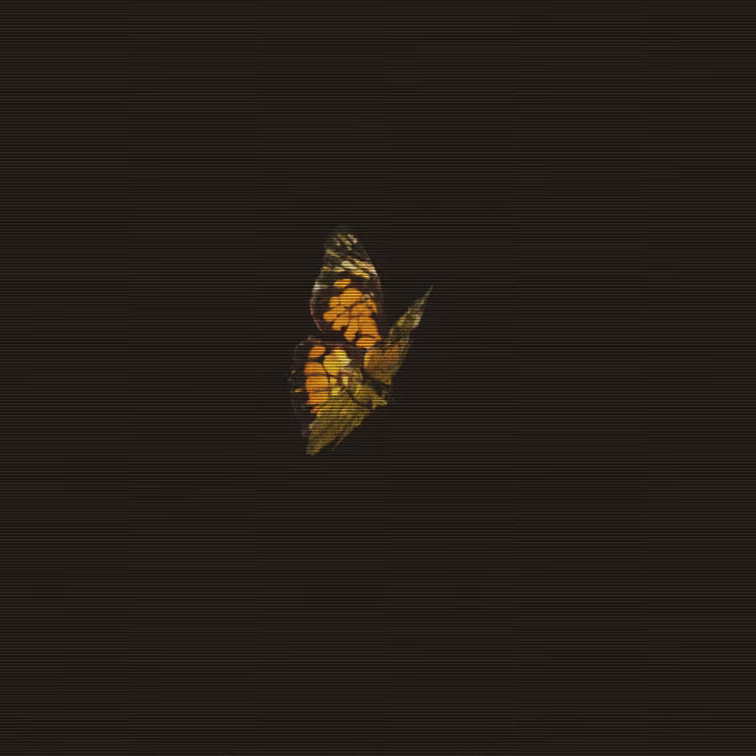 Migration