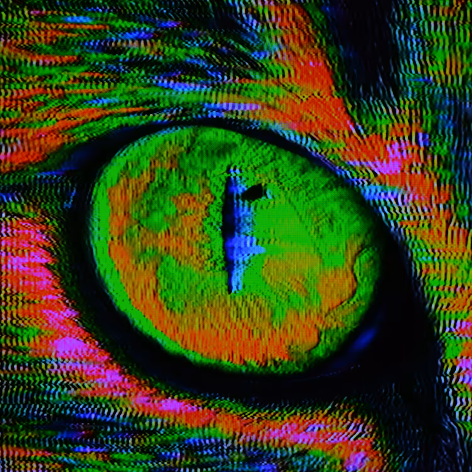 The eye