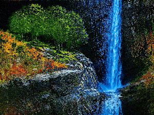 The Waterfall Within the Night