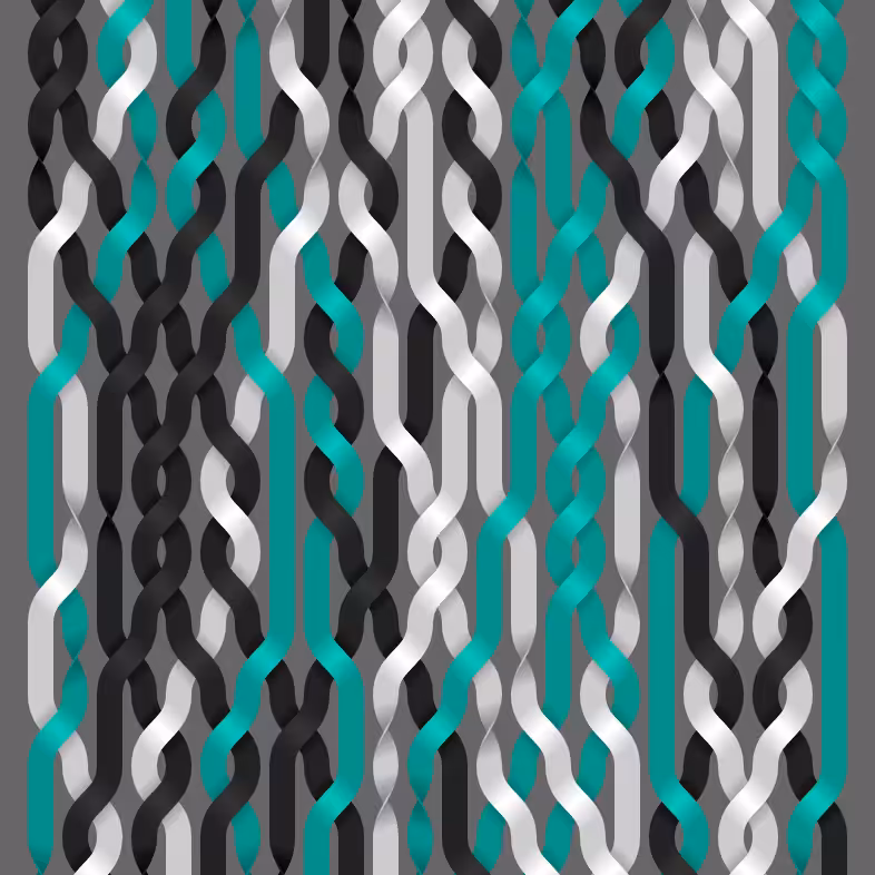 Endless Braids #78