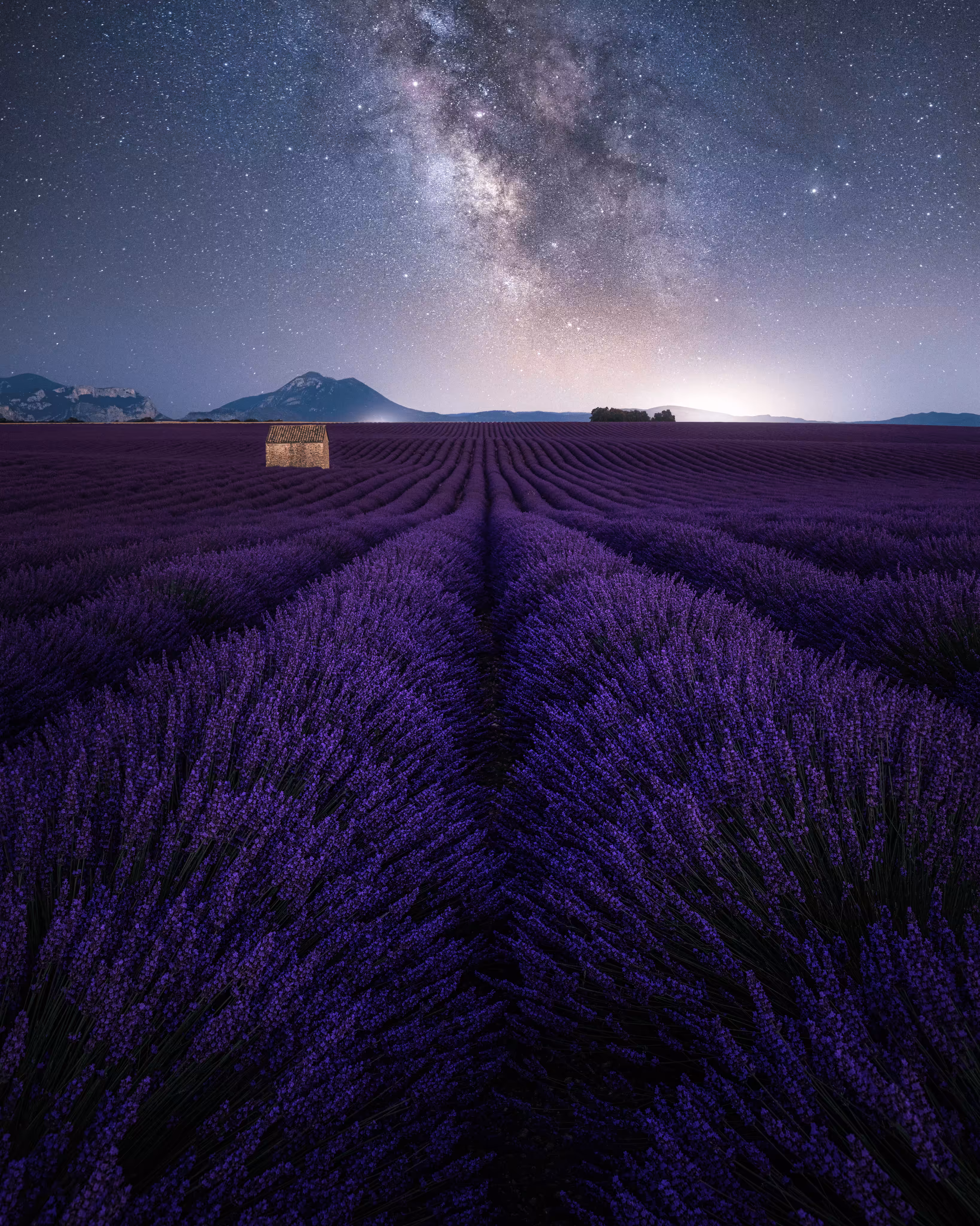 Purple-Flavour #1 - as far as yo see