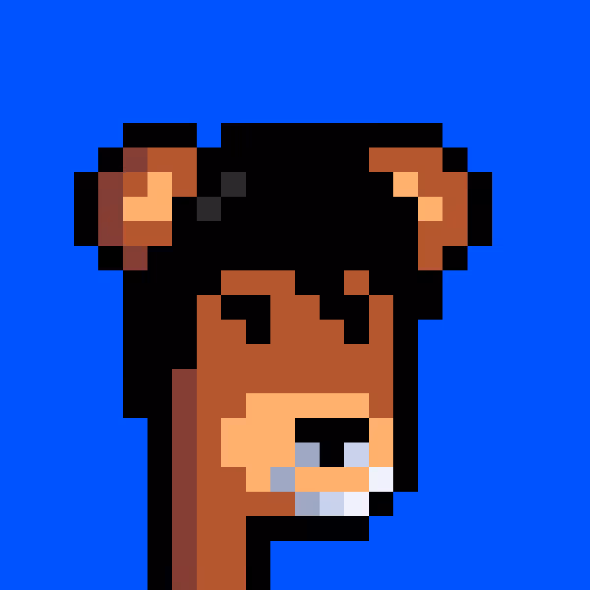 BearPunks #445