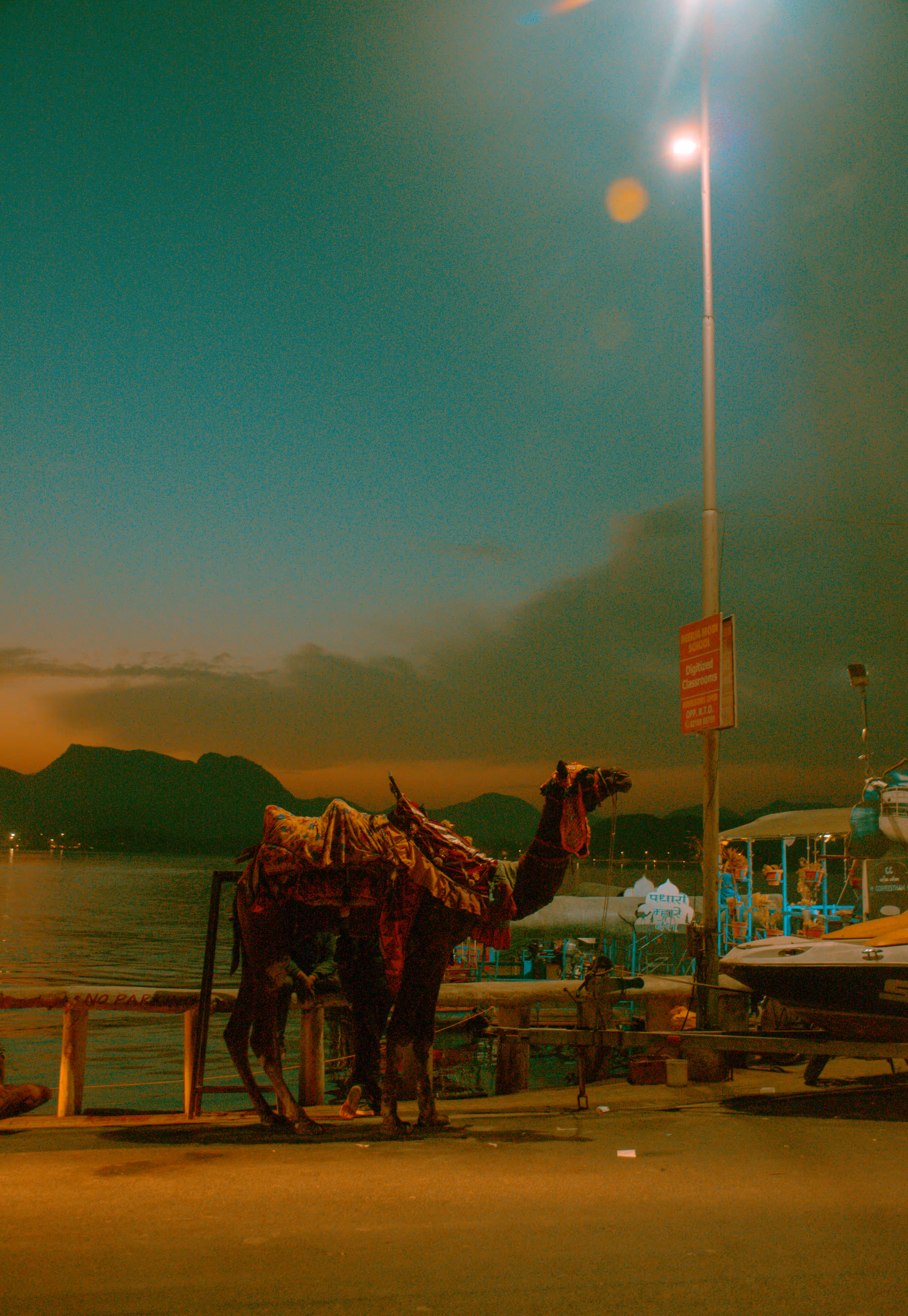 Voyagers of sunsets and seas