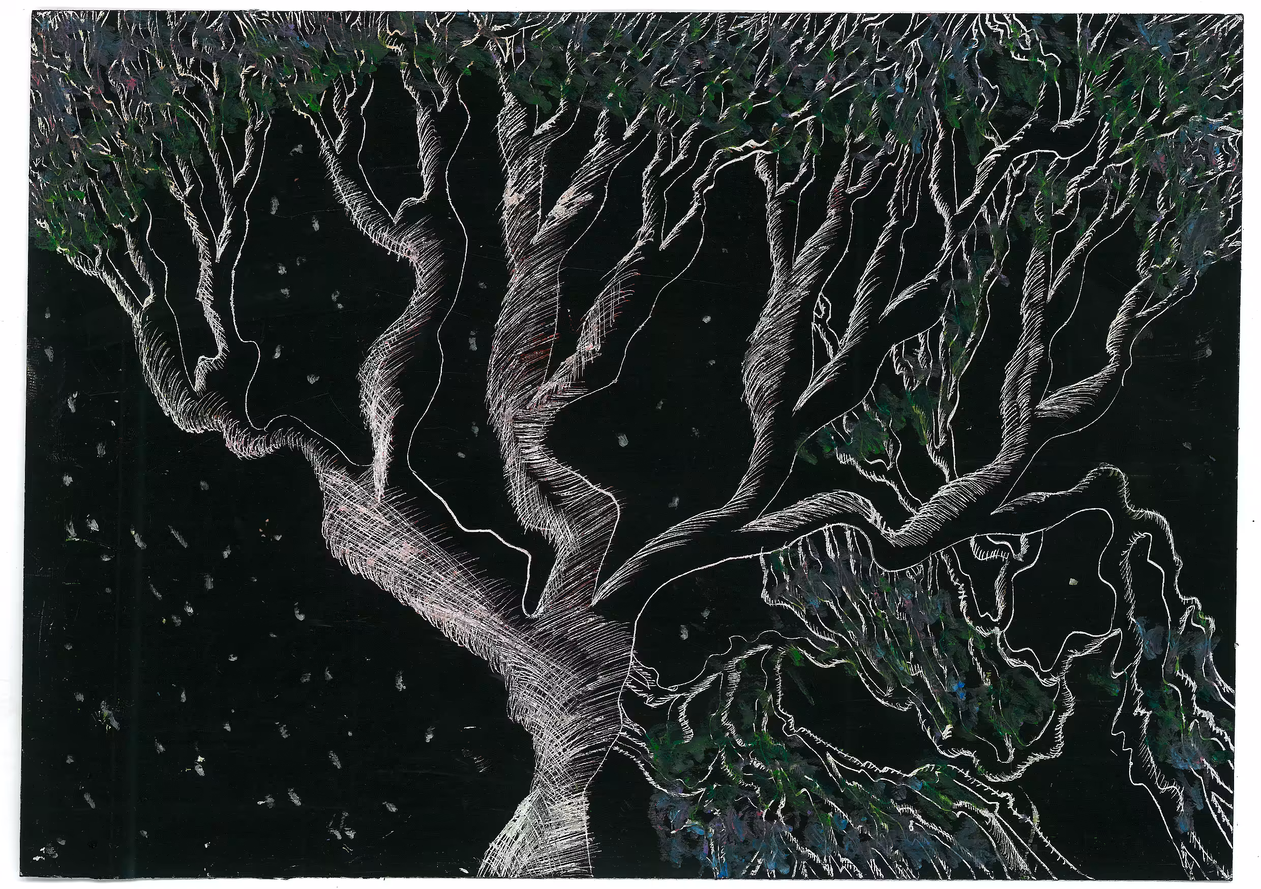 Trees No. 12