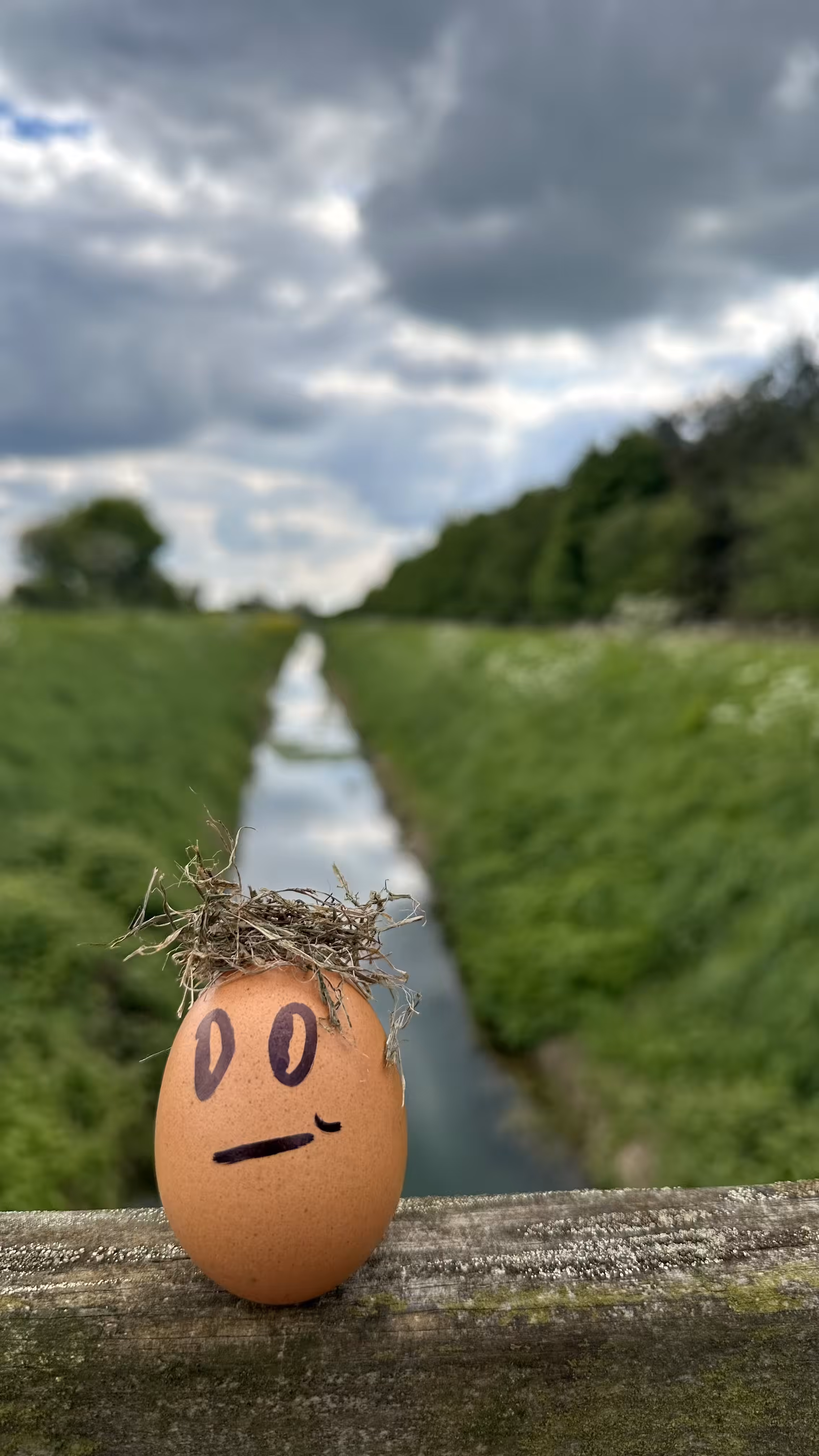 Egg go “Bridge” vol 1 
