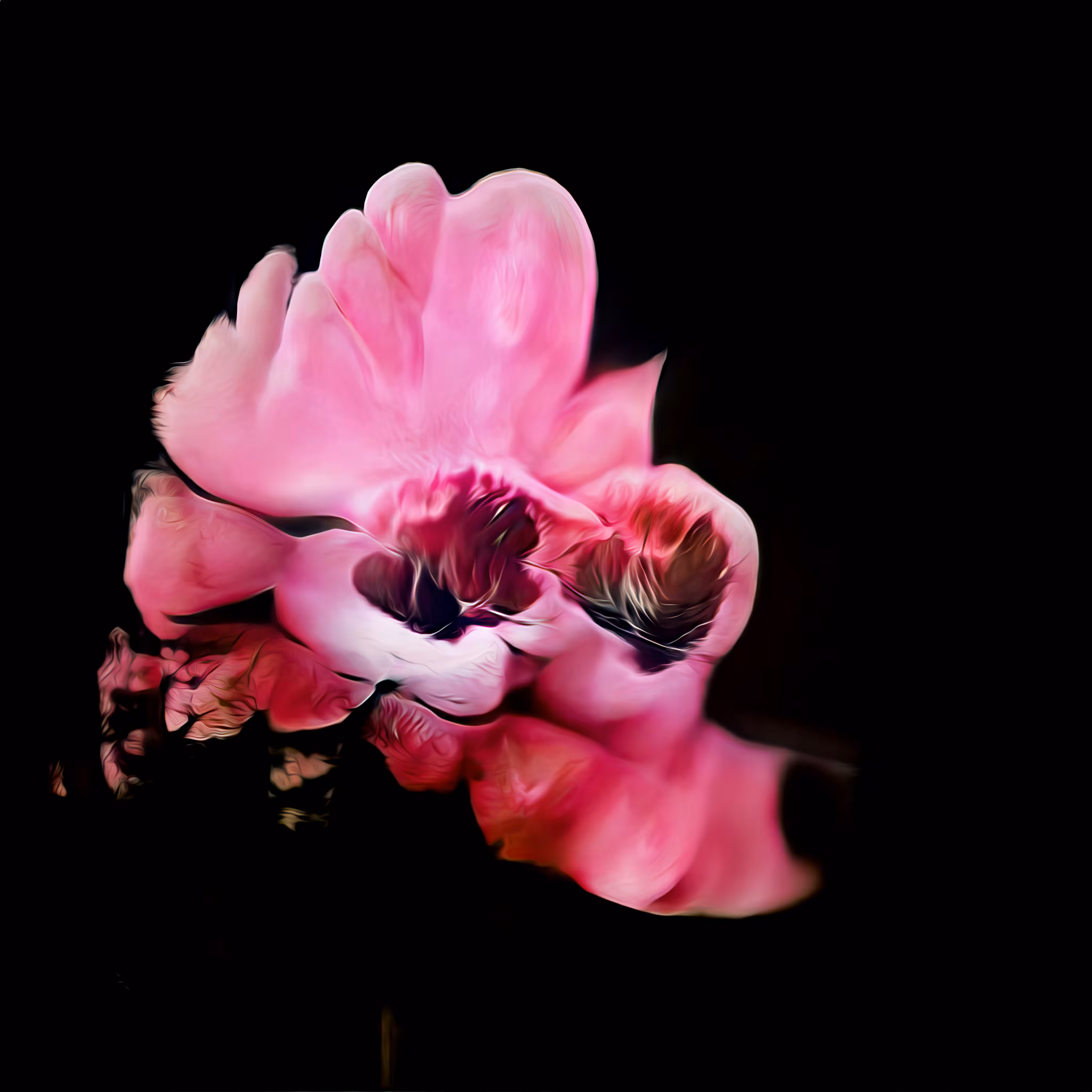 Flower 005