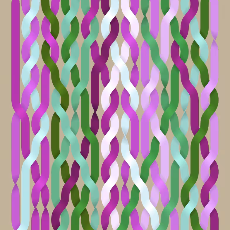 Endless Braids #77