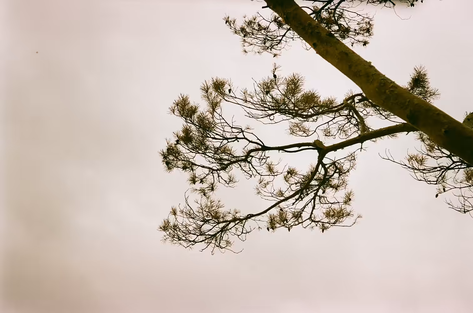 gloomy winter