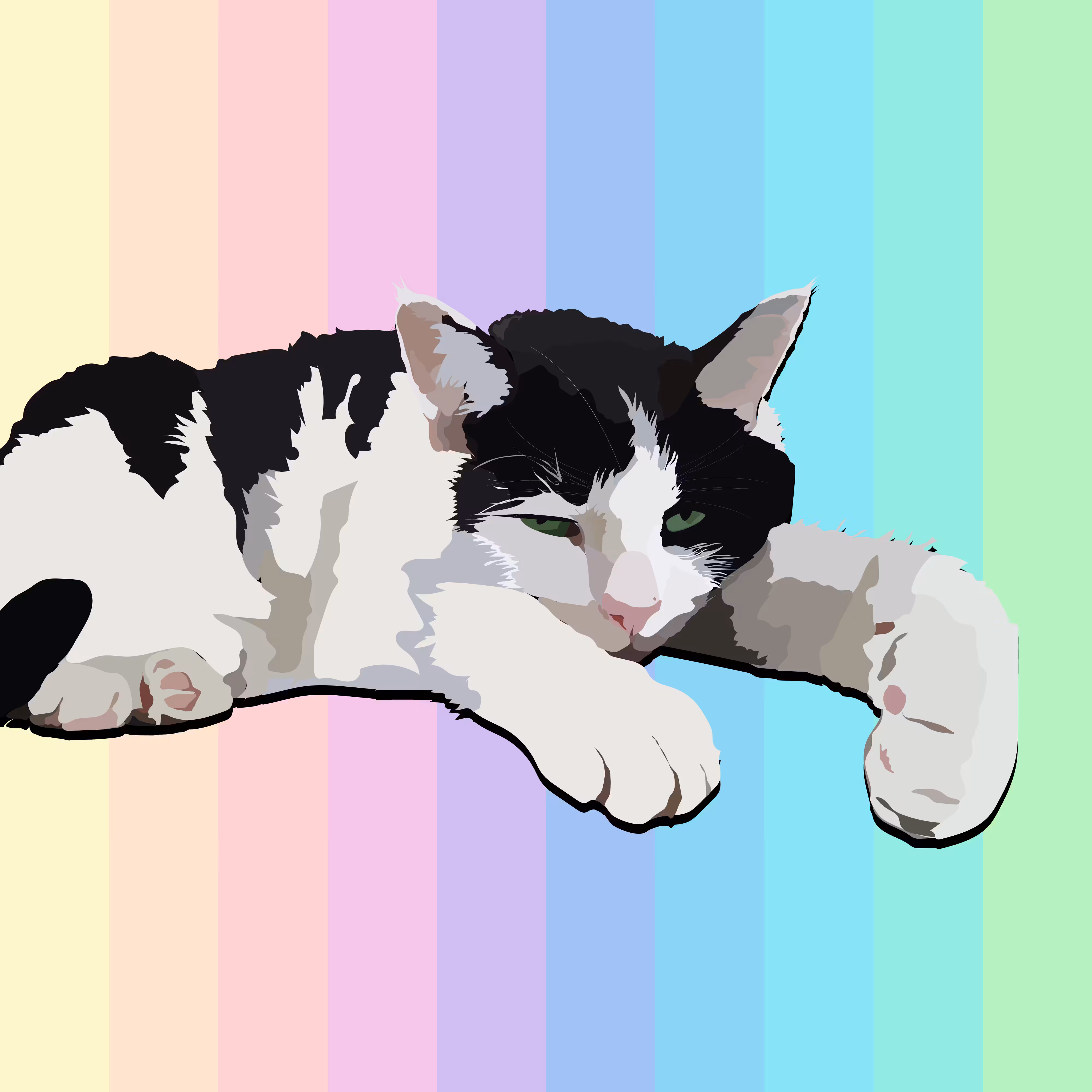 Rainbow Chonk