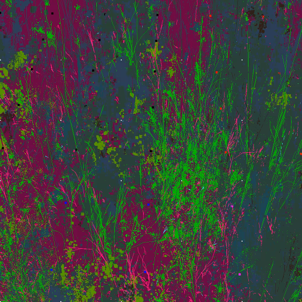 Infinite Garden: 92533 Flowers