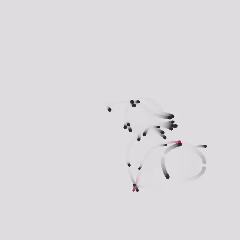 Hidden Order #36