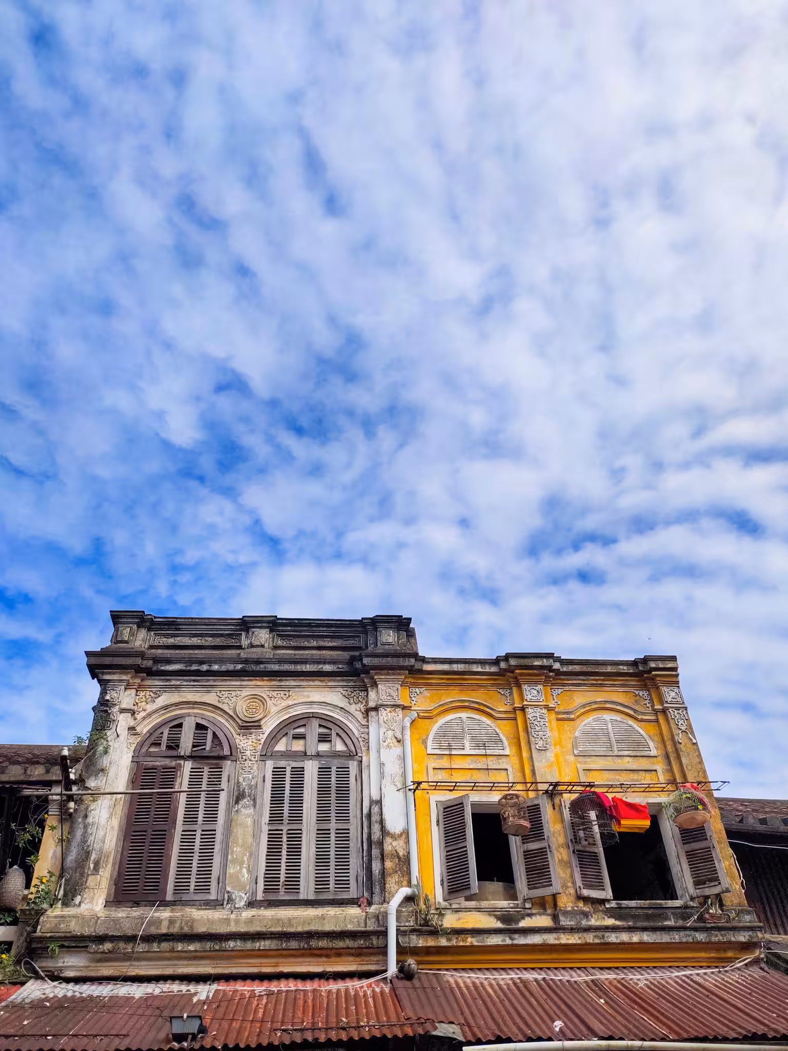 クモ 〇〇七、Hoi An 2019