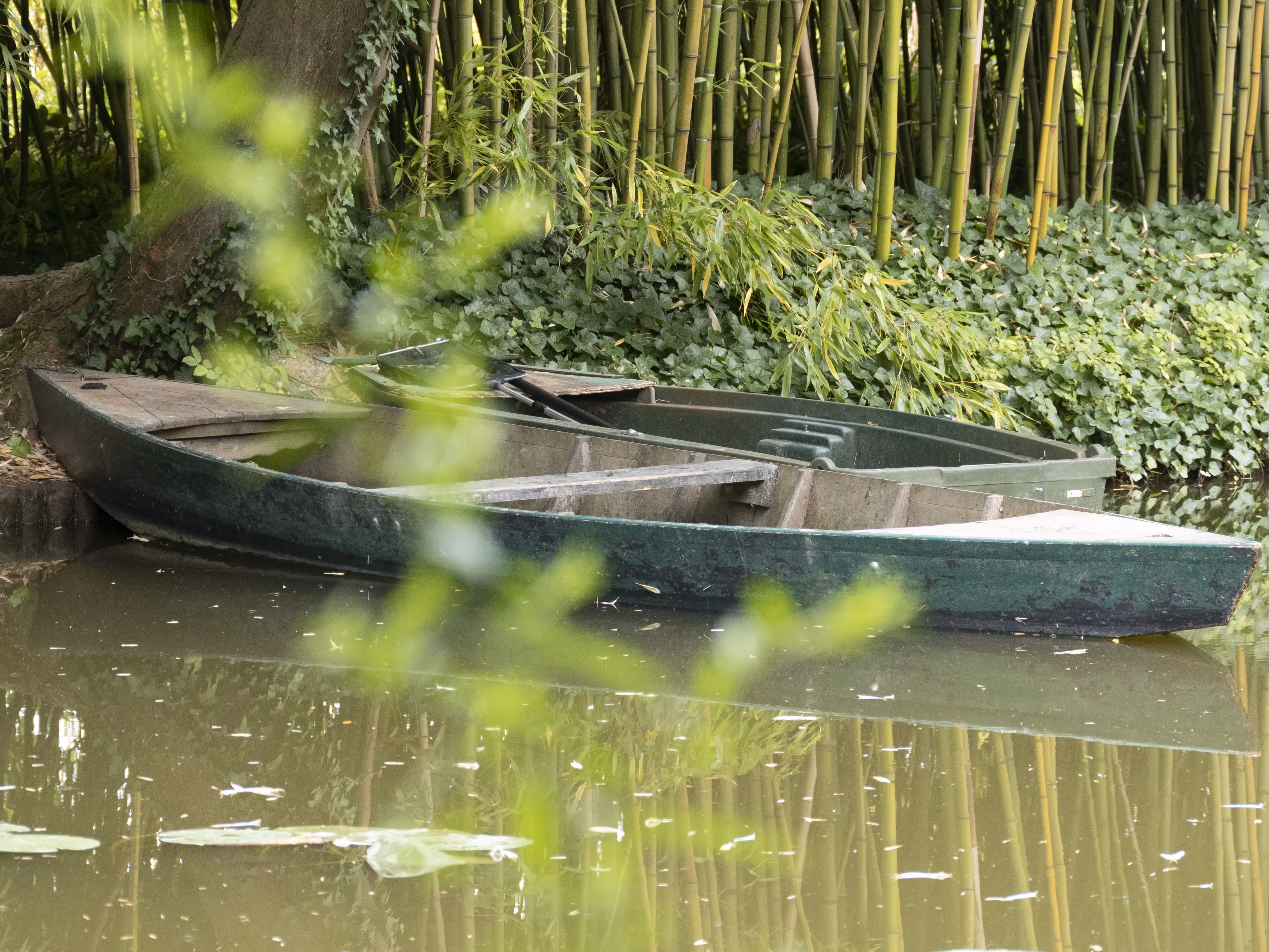 Giverny #22