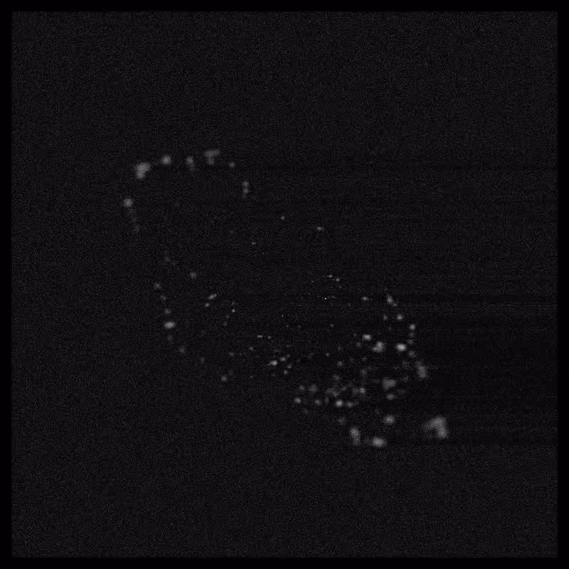 Rays & Dust #23