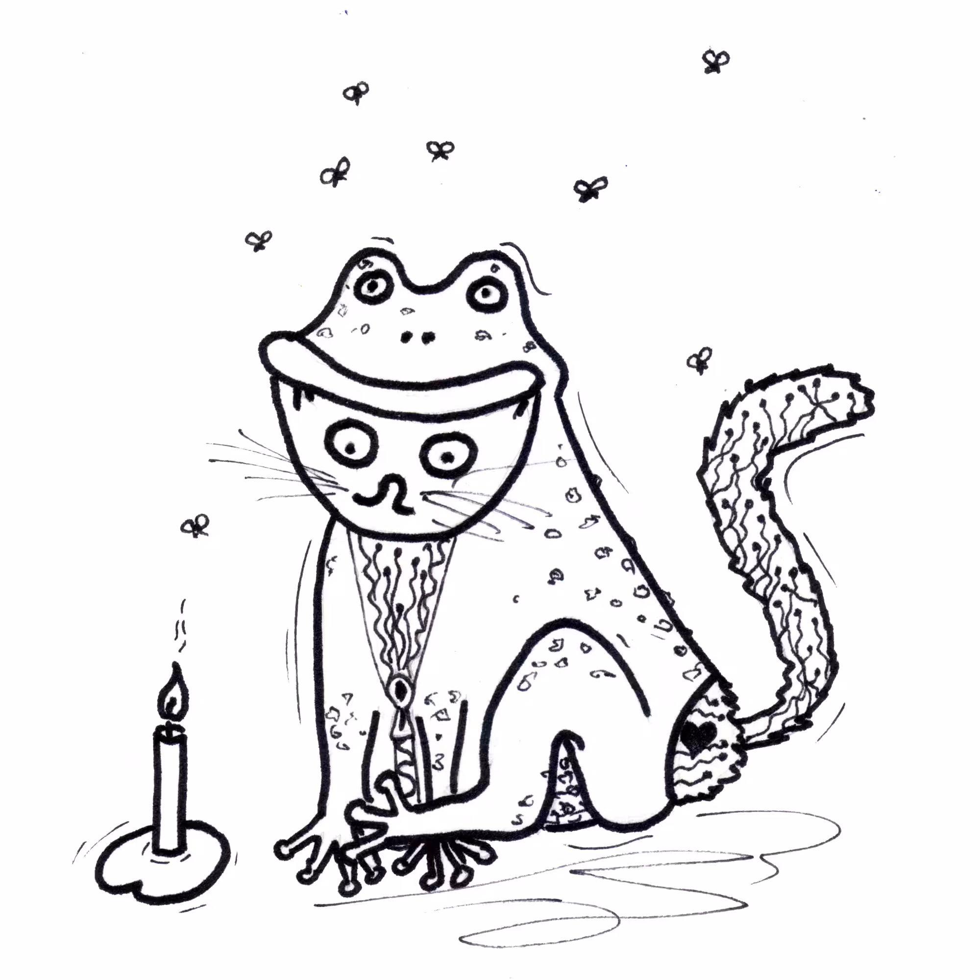 Toad