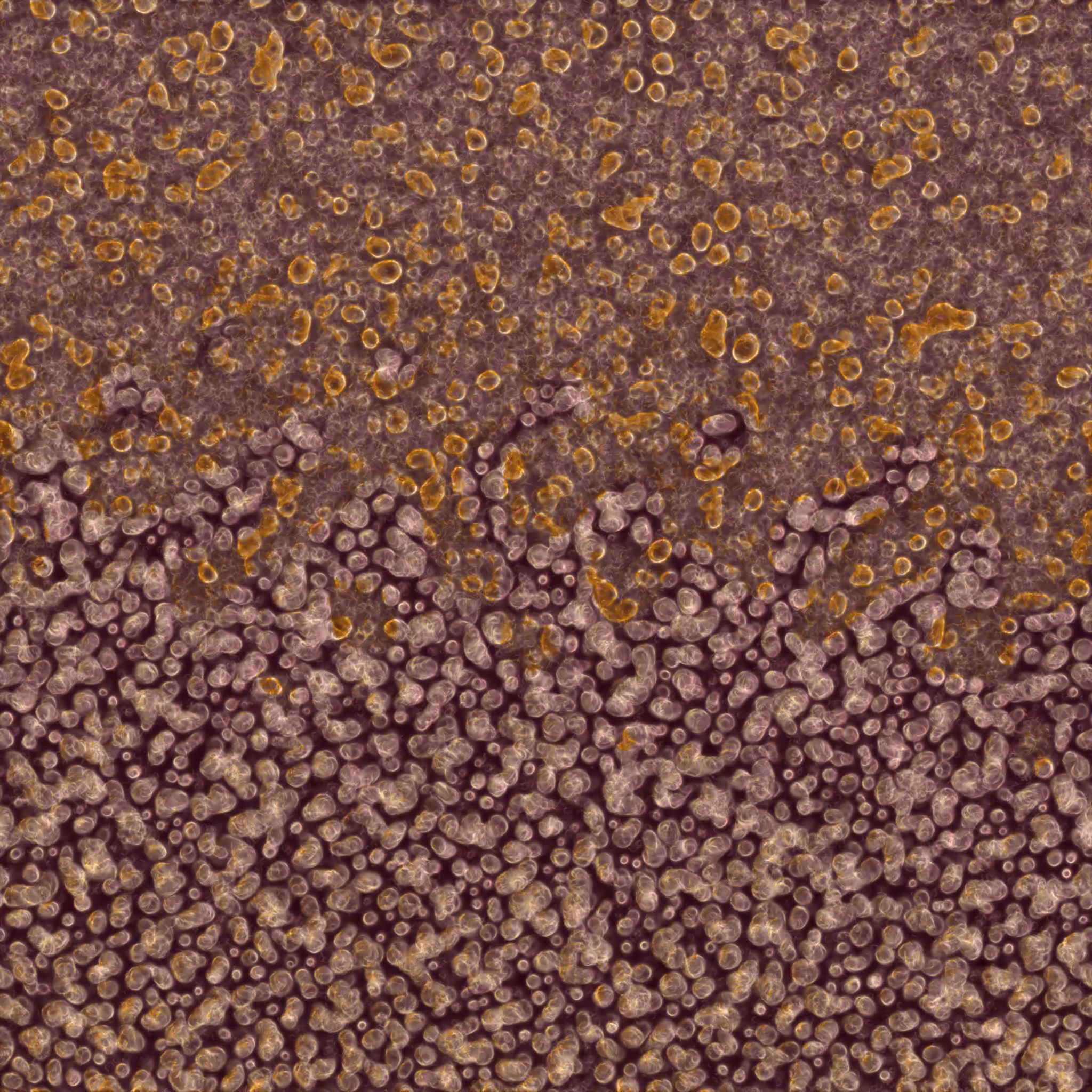 saprophyte #68